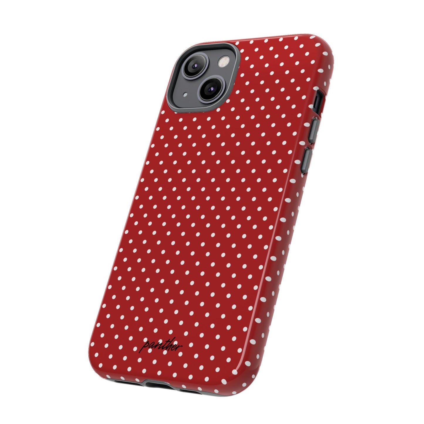 Ladybug V3