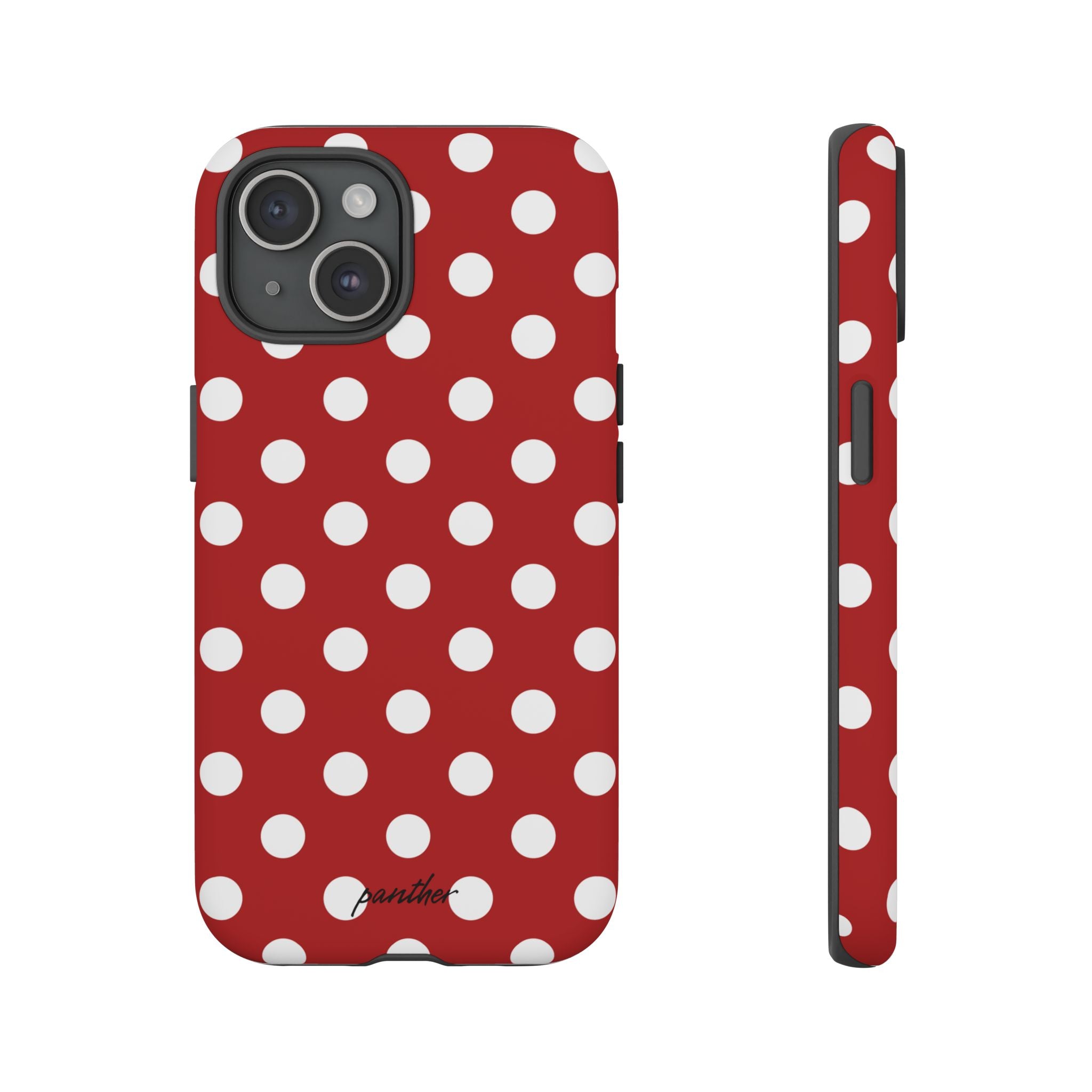 Ladybug V4