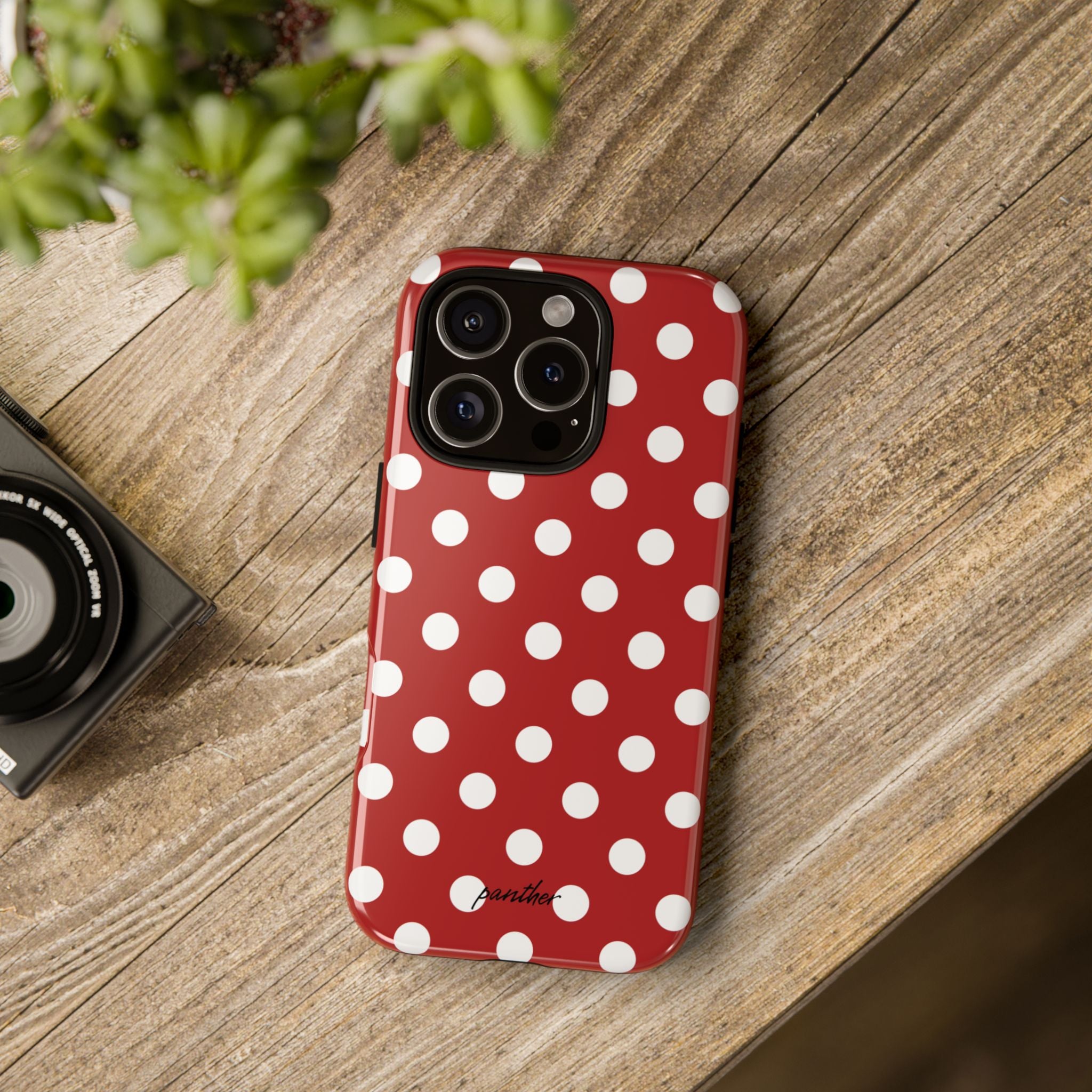 Ladybug V4