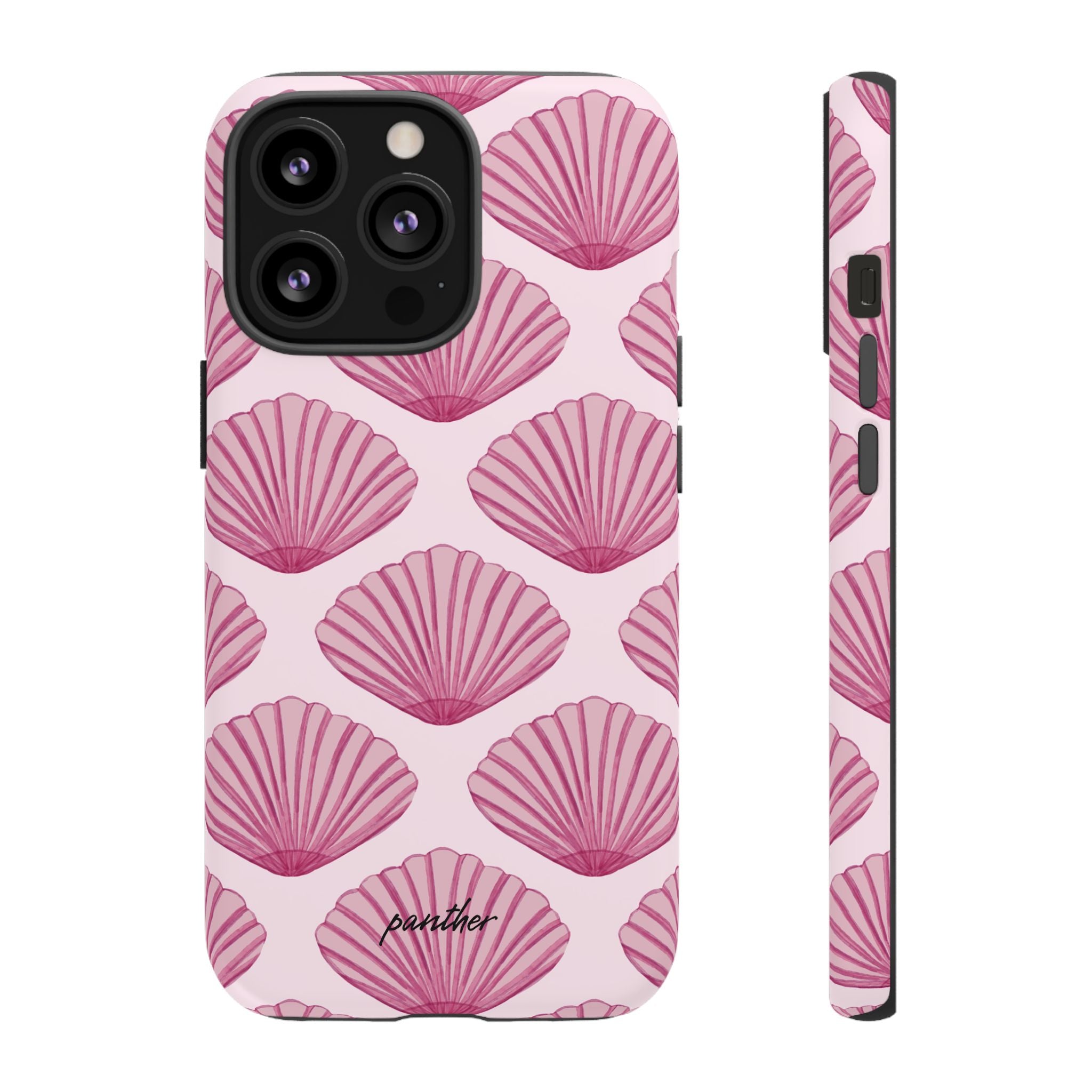 Coastal Shells