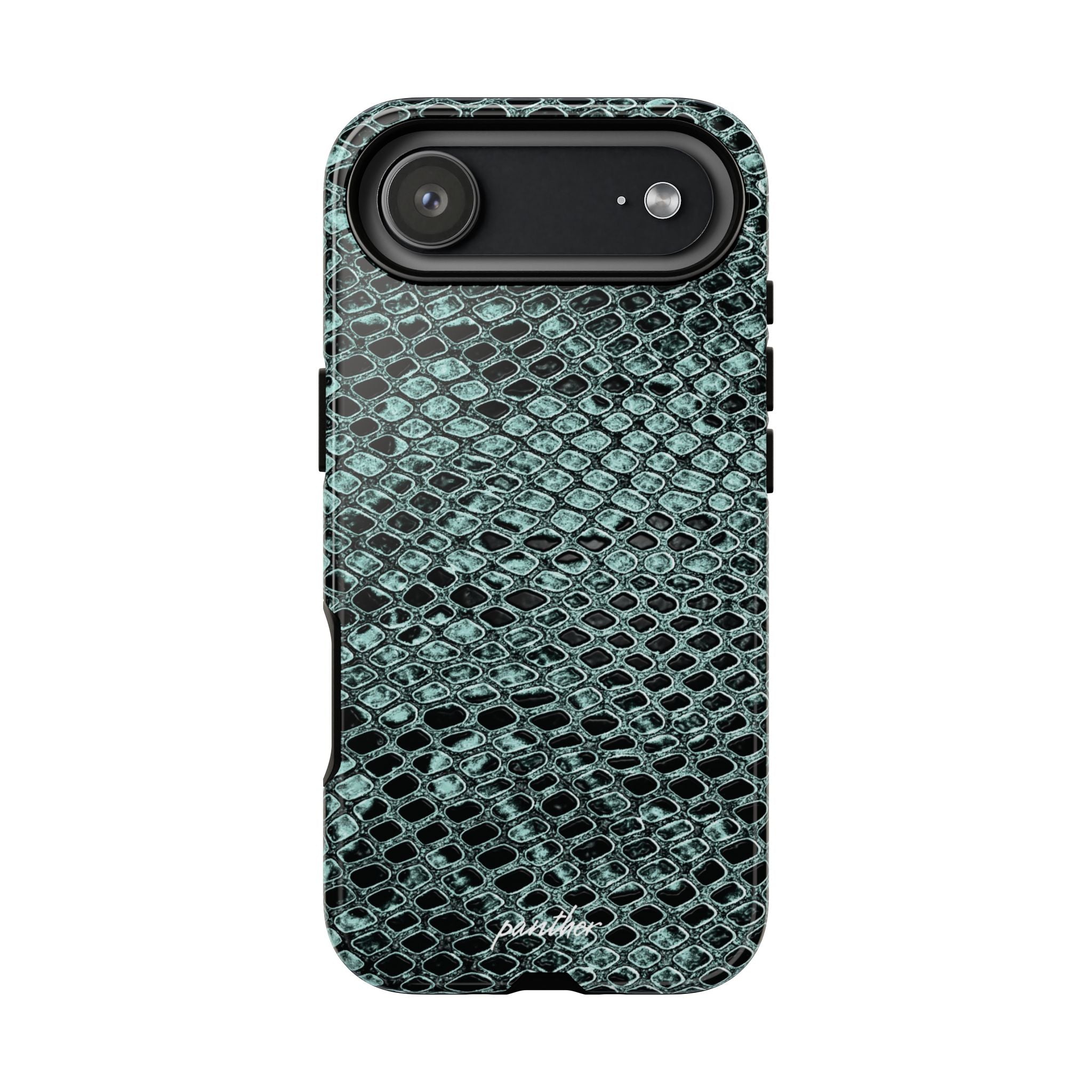 Python