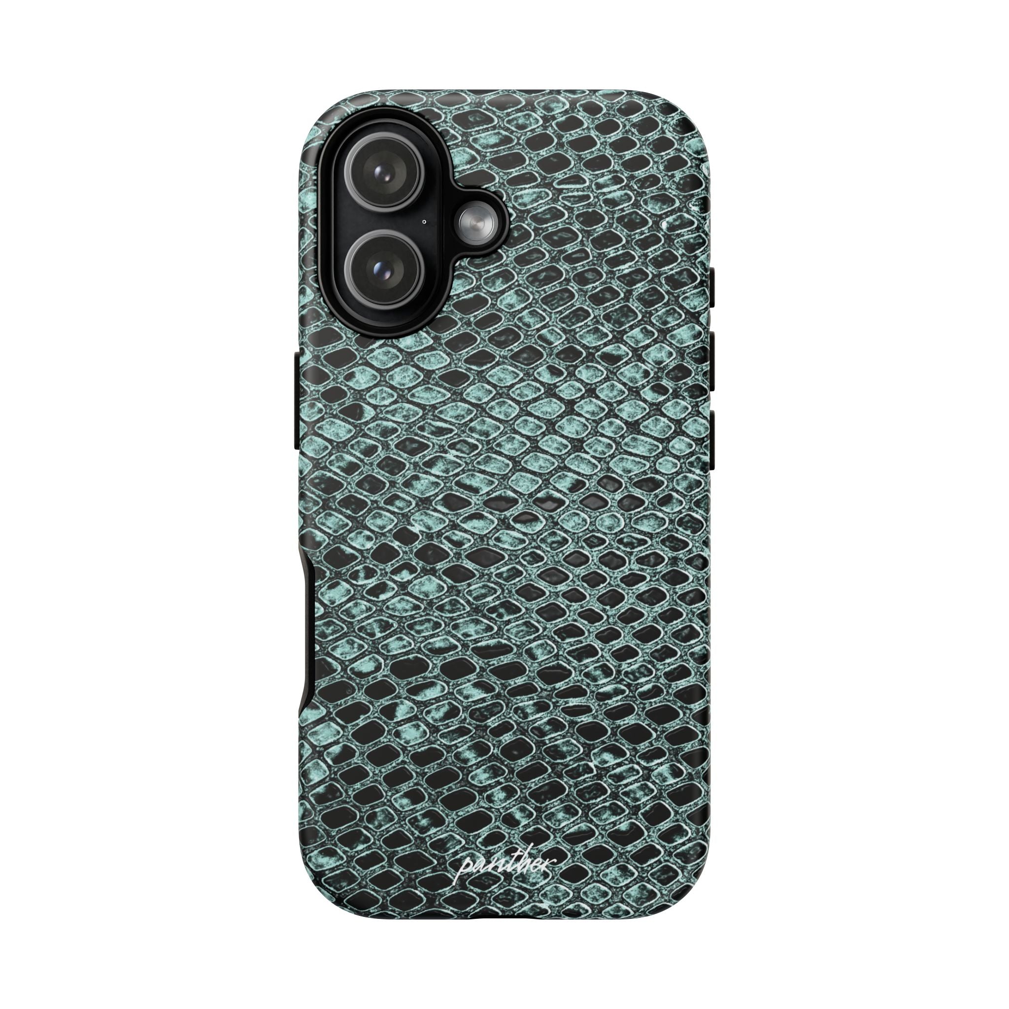 Python