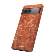 Reef