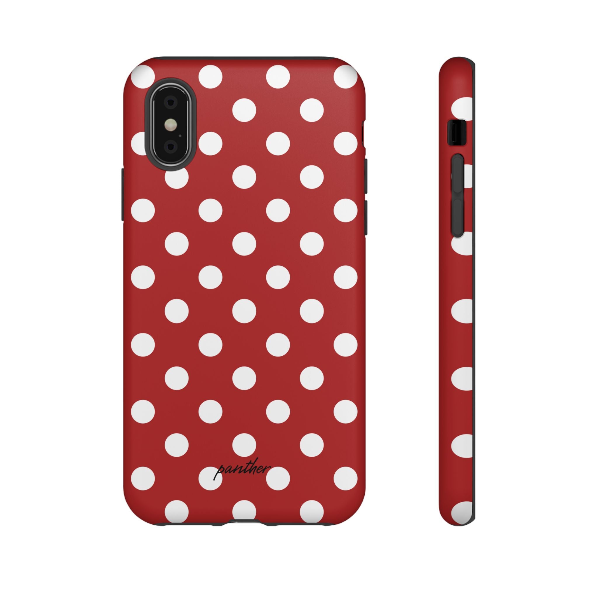 Ladybug V4