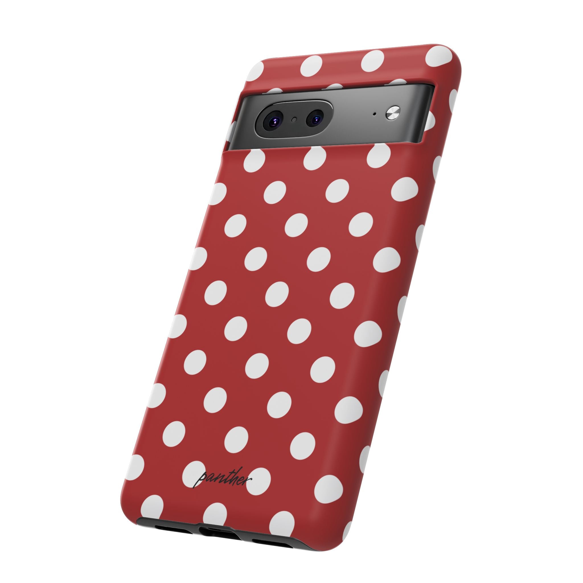 Ladybug V4