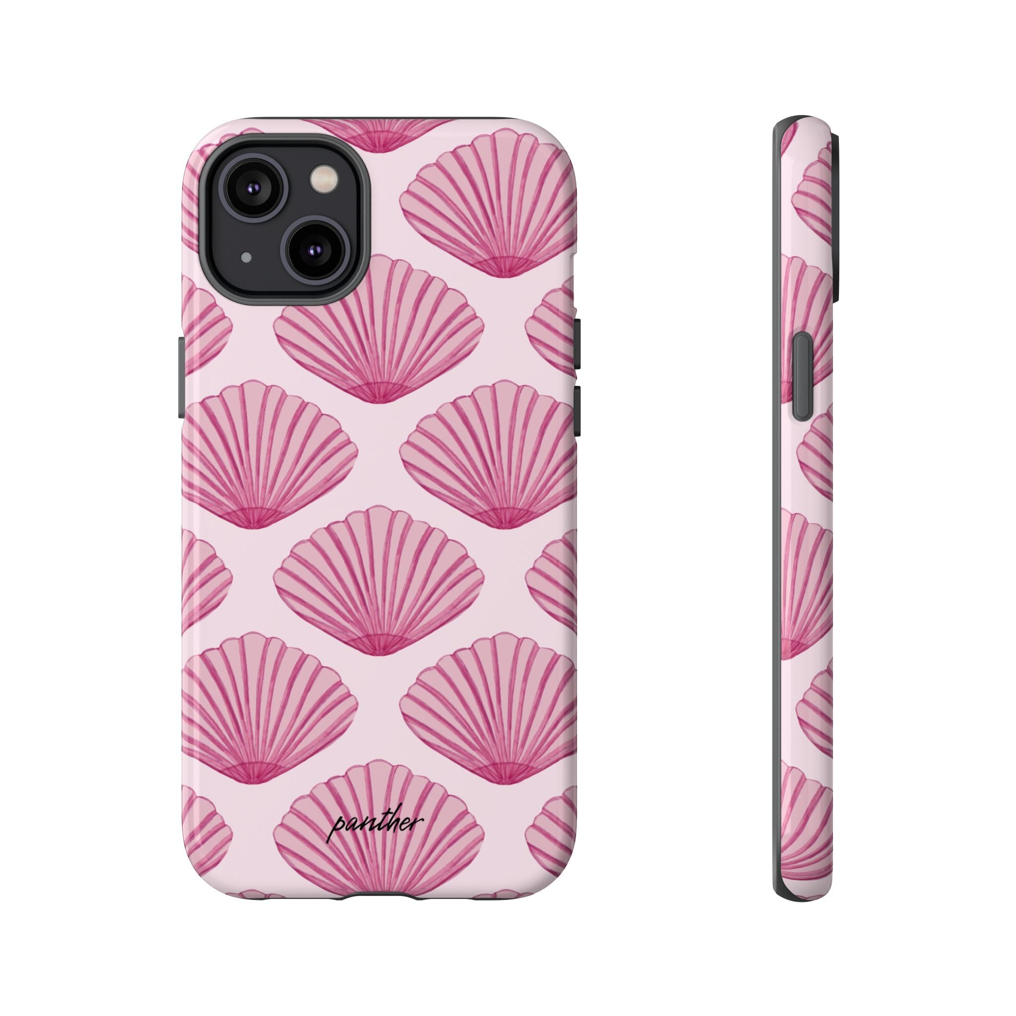 Coastal Shells