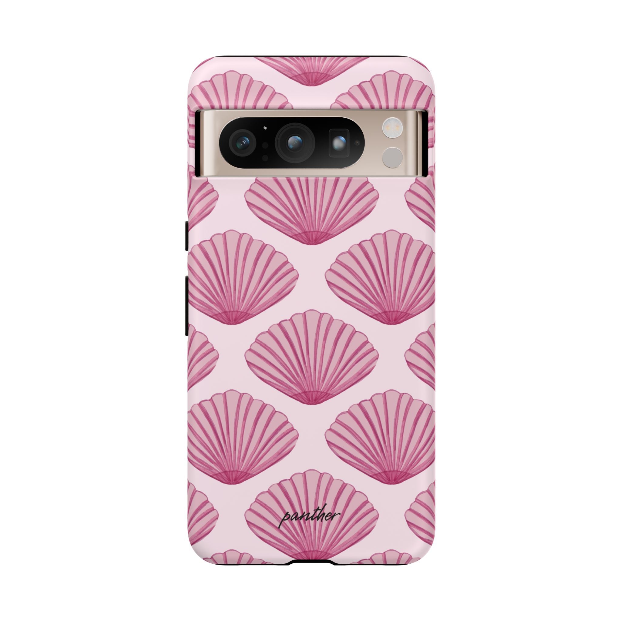 Coastal Shells