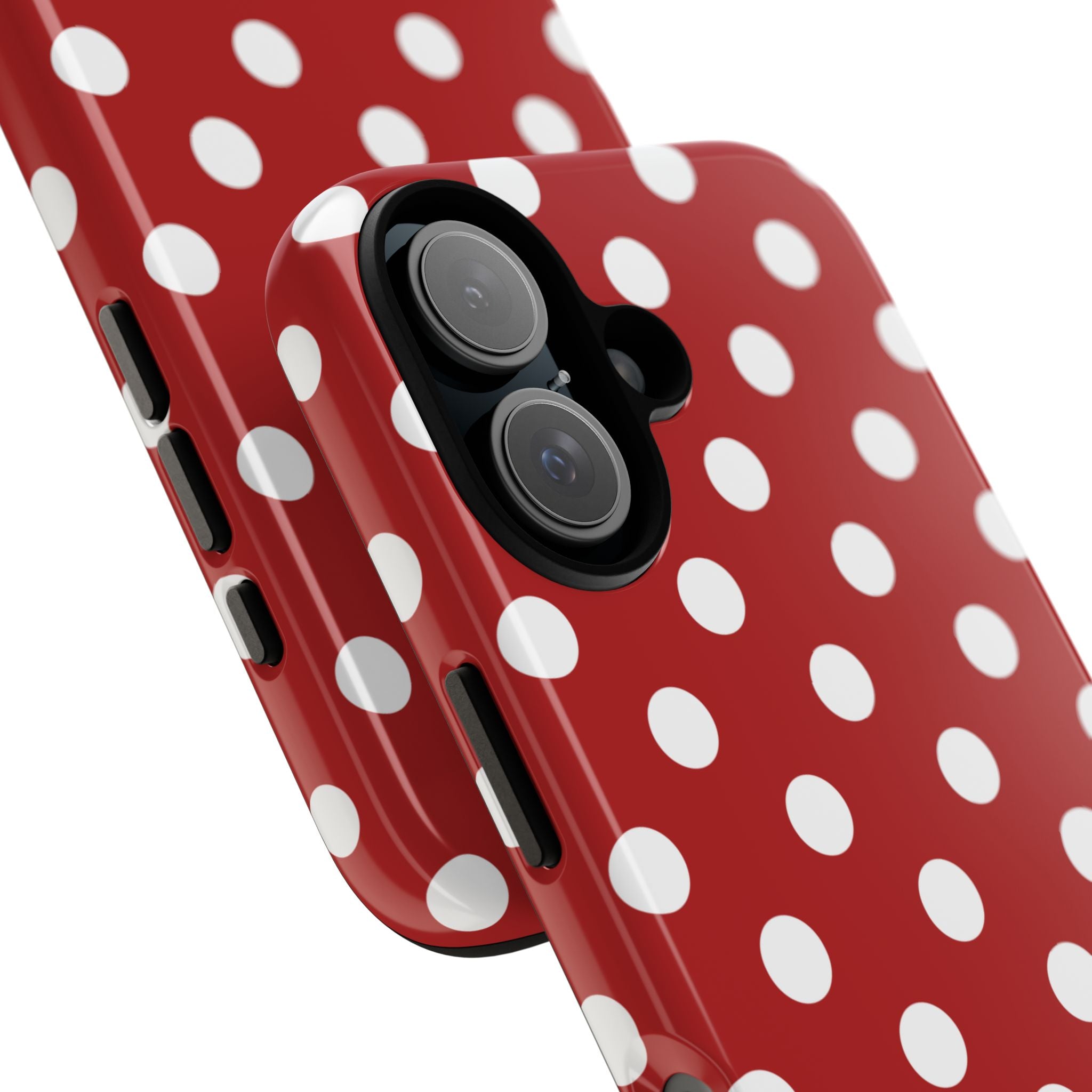 Ladybug V4