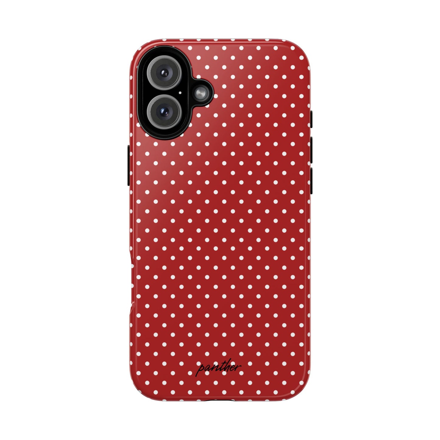 Ladybug V3