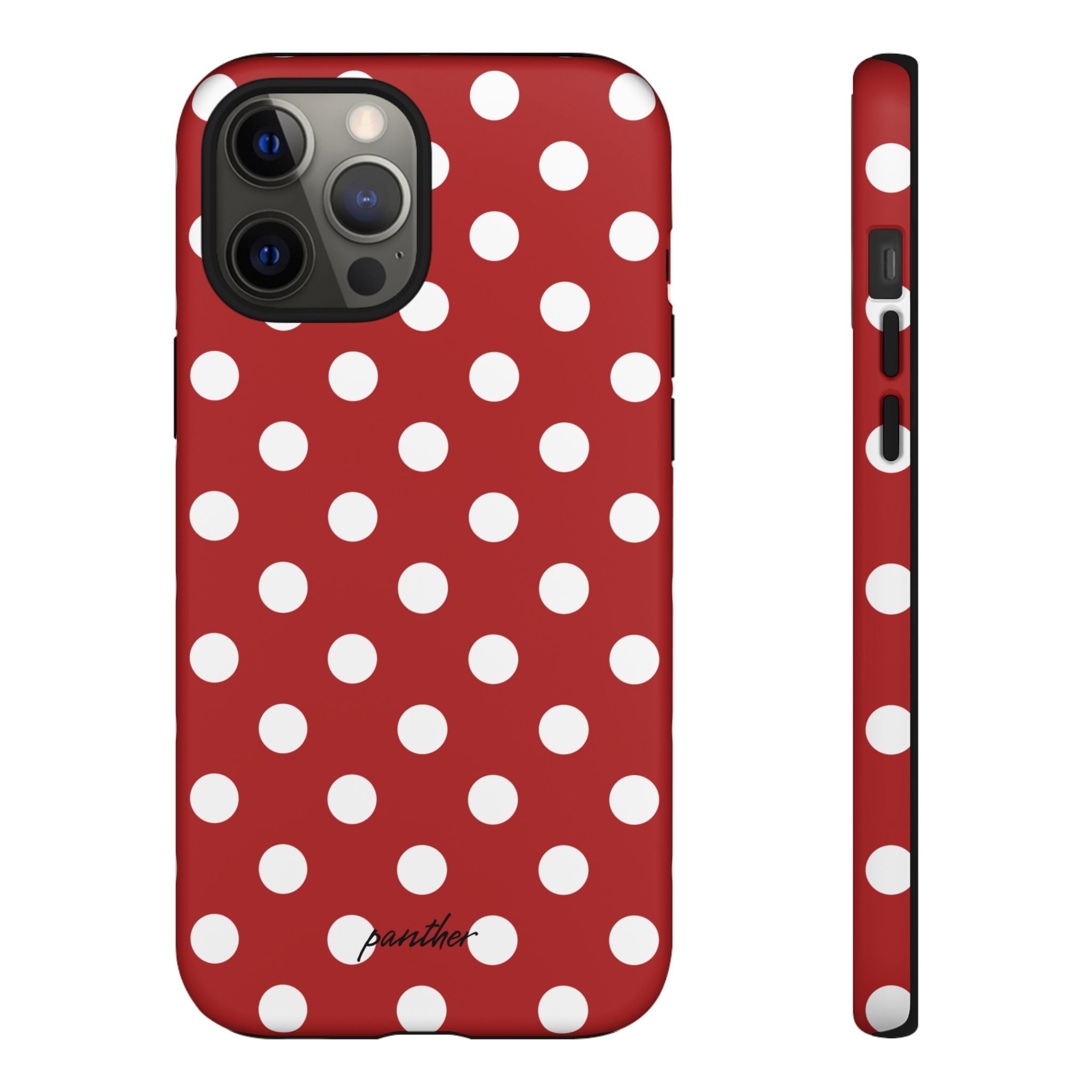 Ladybug V4