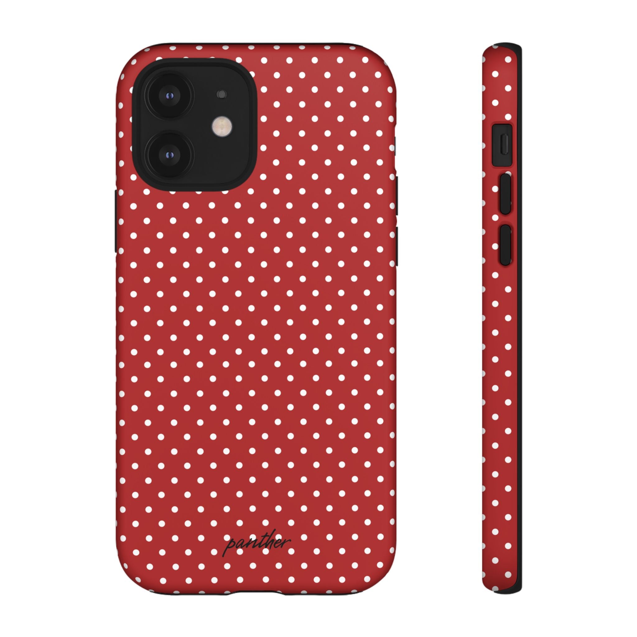 Ladybug V3
