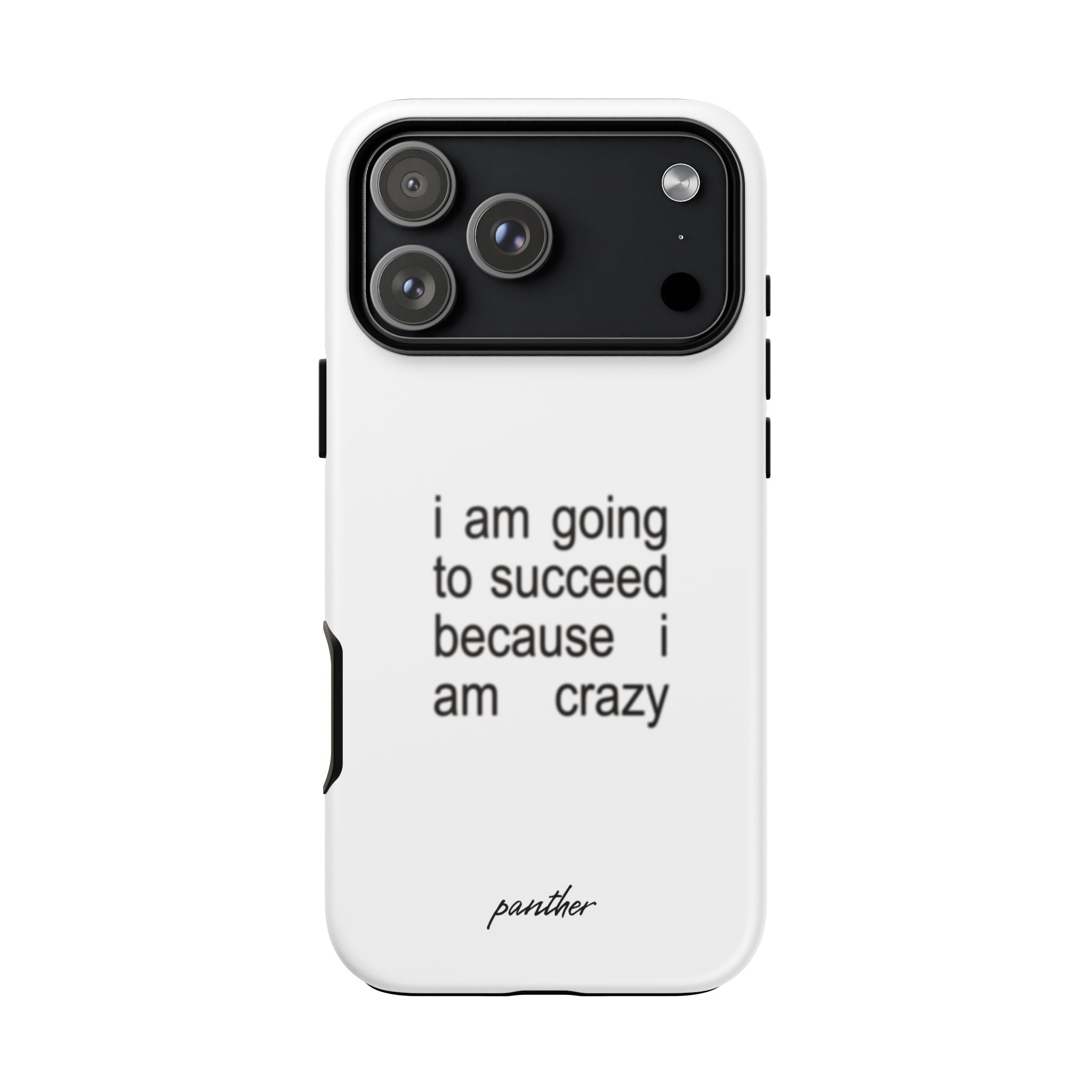 I Am Going To Succeed Because I Am Crazy