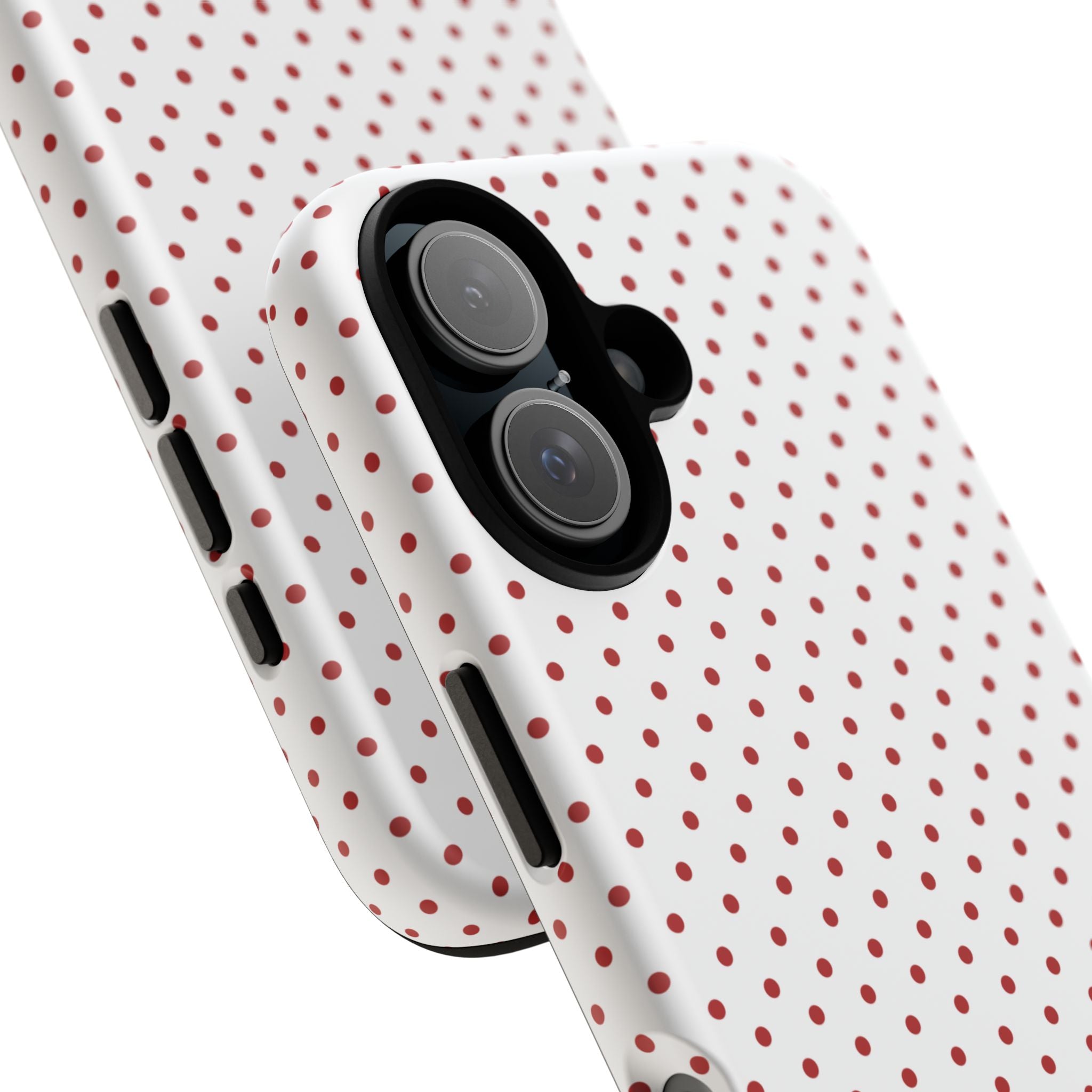 Ladybug V2