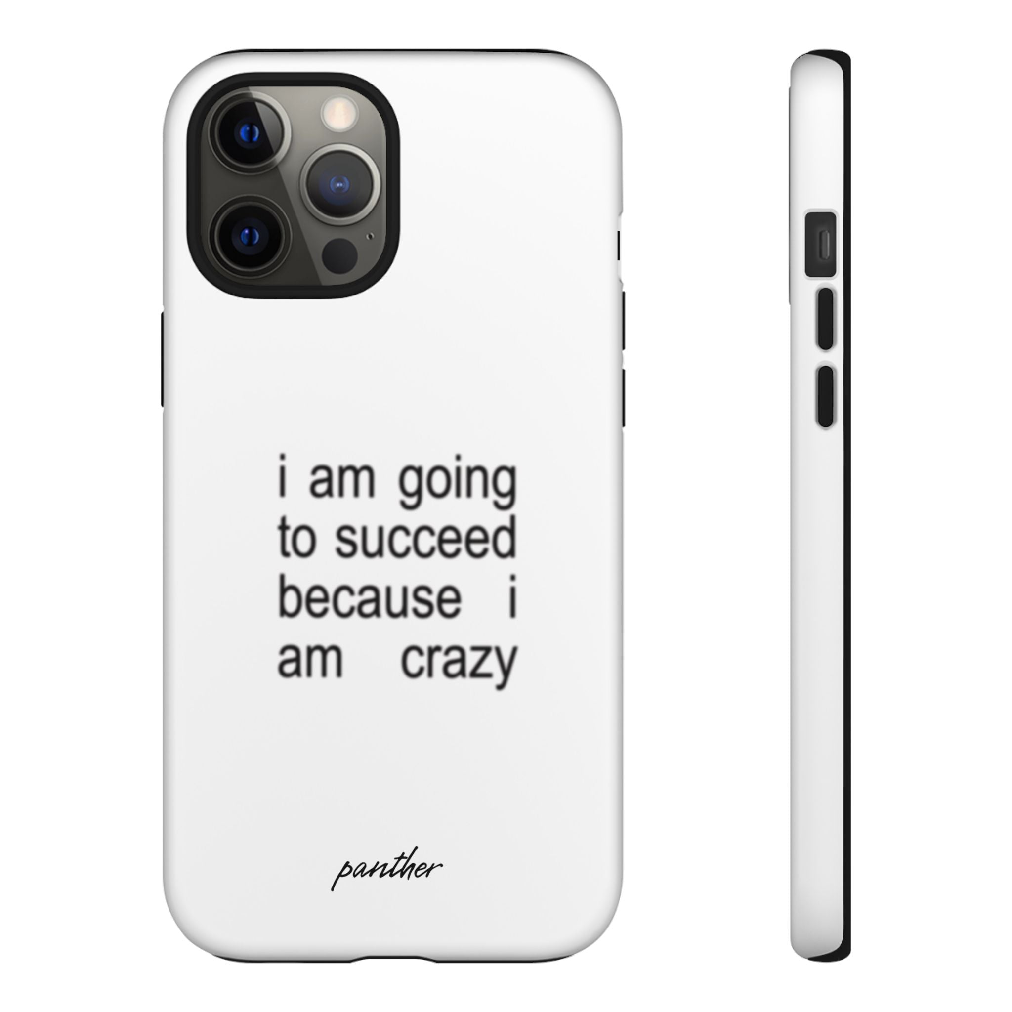 I Am Going To Succeed Because I Am Crazy