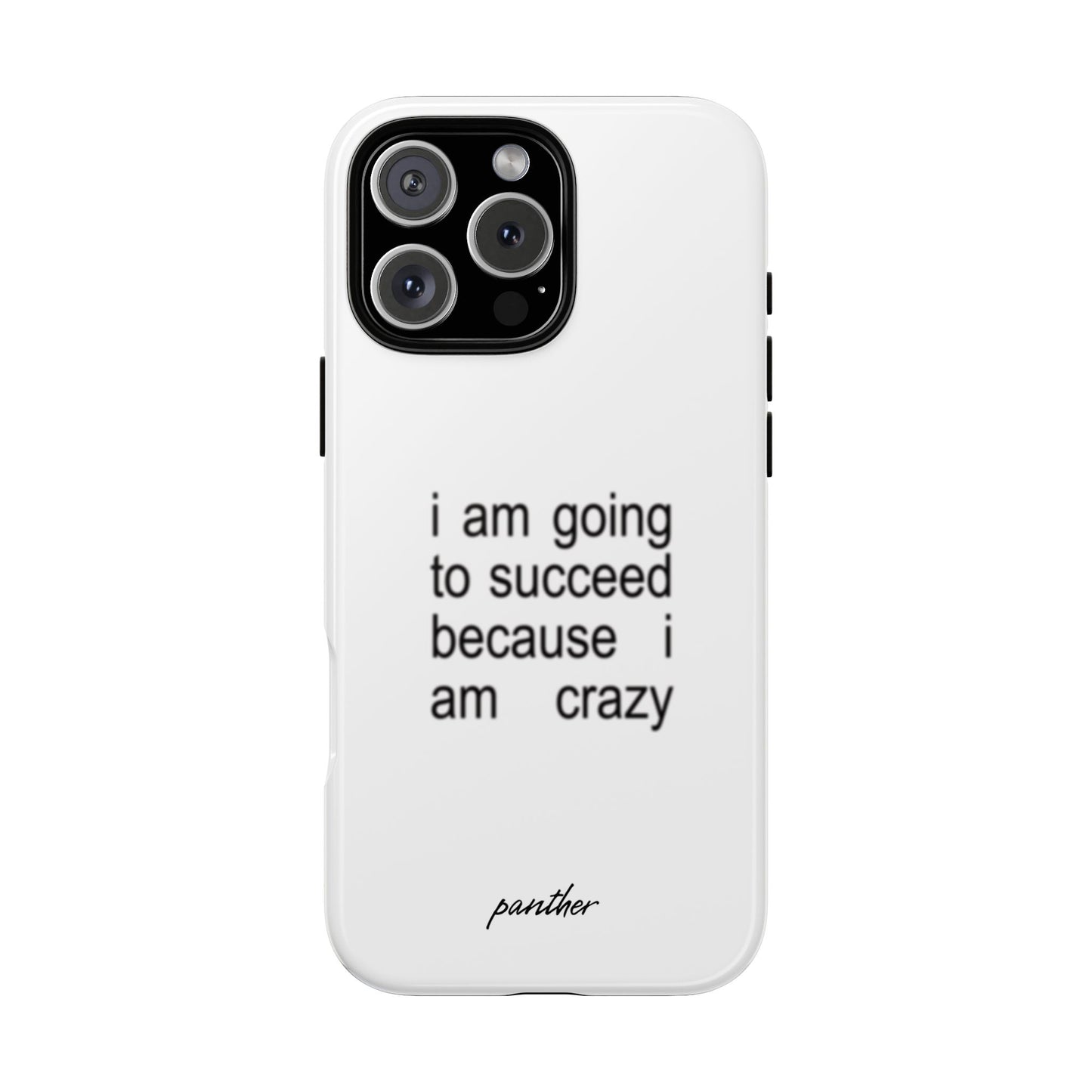 I Am Going To Succeed Because I Am Crazy