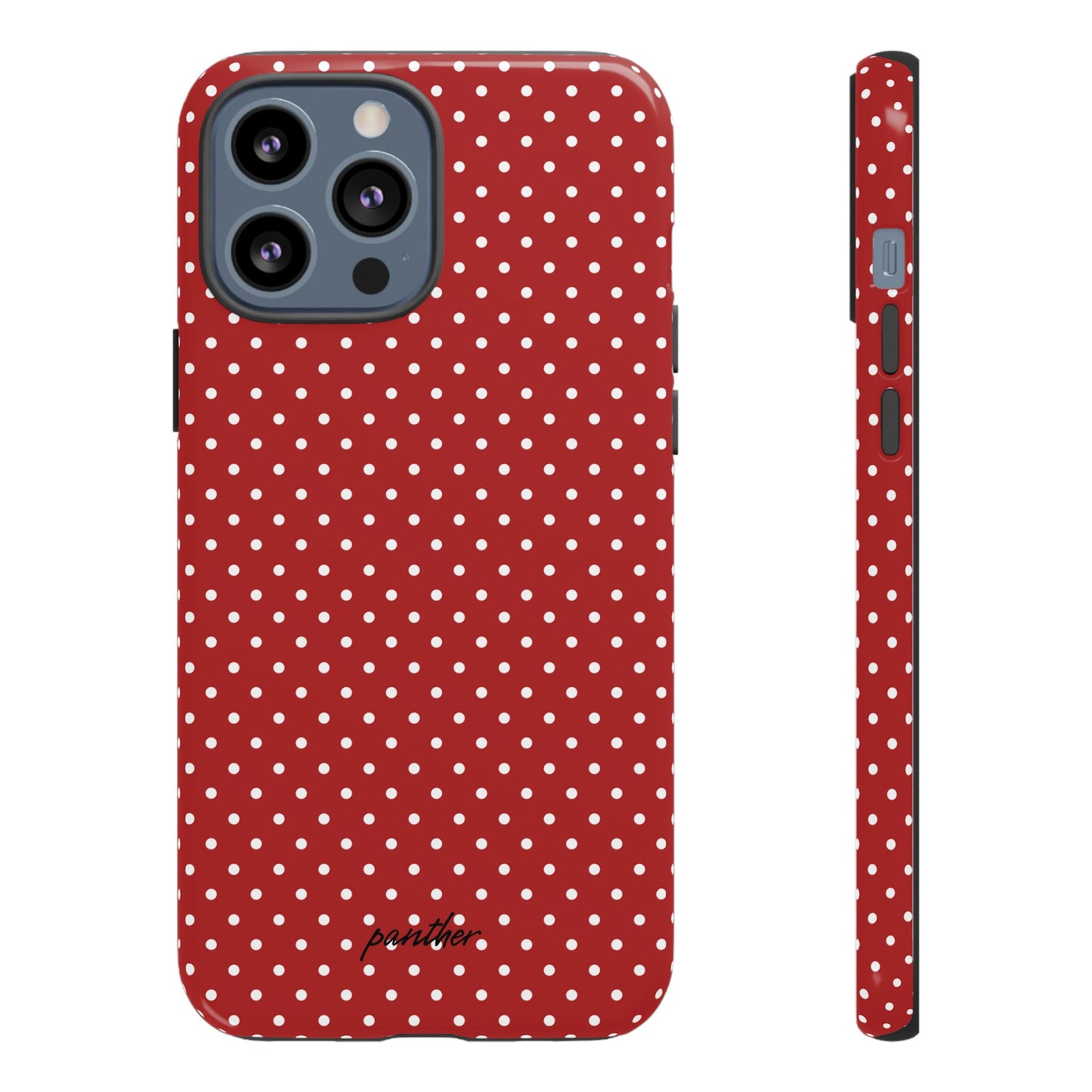 Ladybug V3