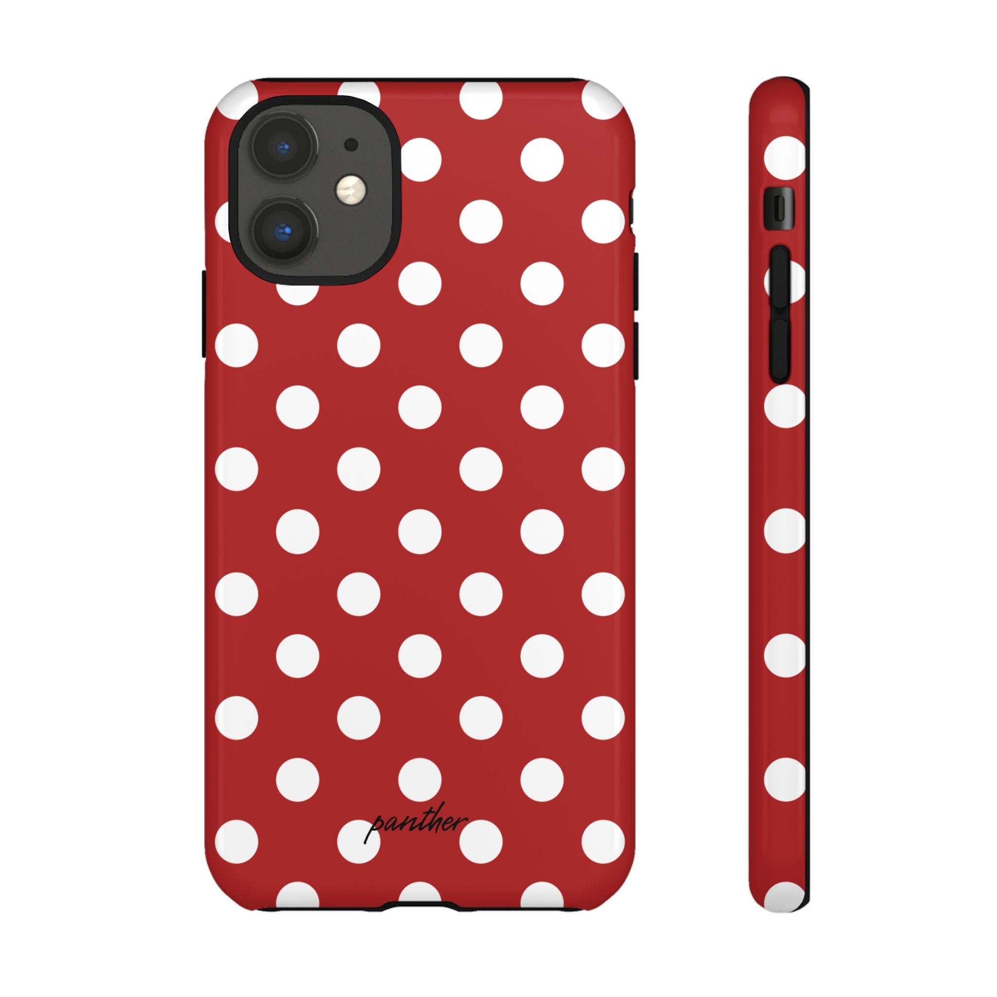Ladybug V4