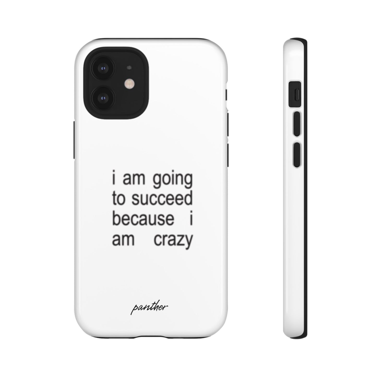 I Am Going To Succeed Because I Am Crazy