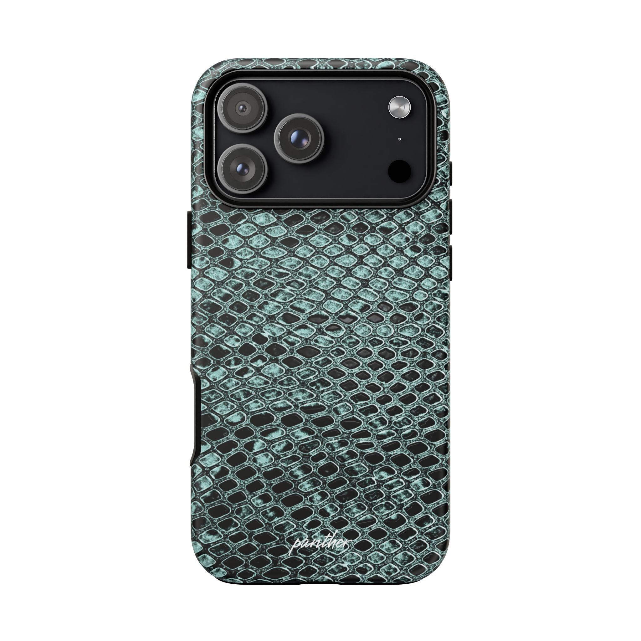 Python