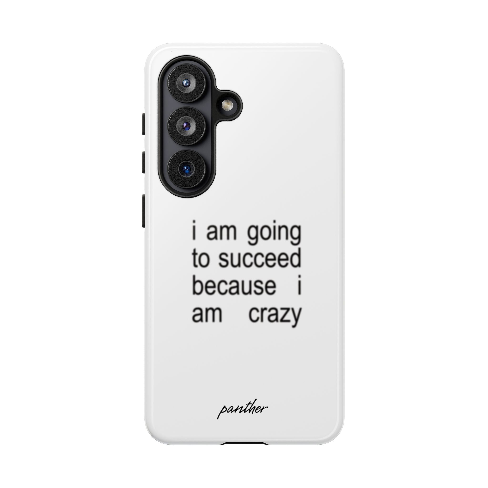 I Am Going To Succeed Because I Am Crazy