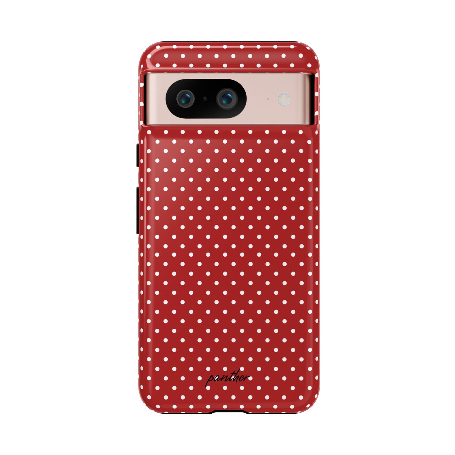 Ladybug V3