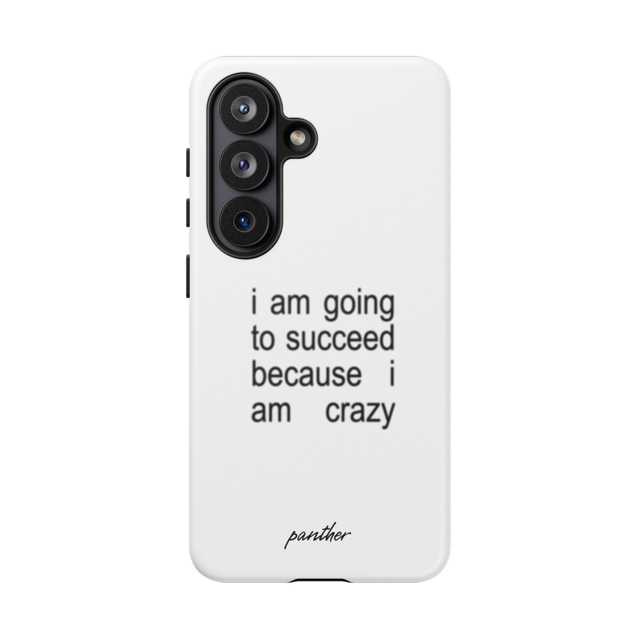 I Am Going To Succeed Because I Am Crazy
