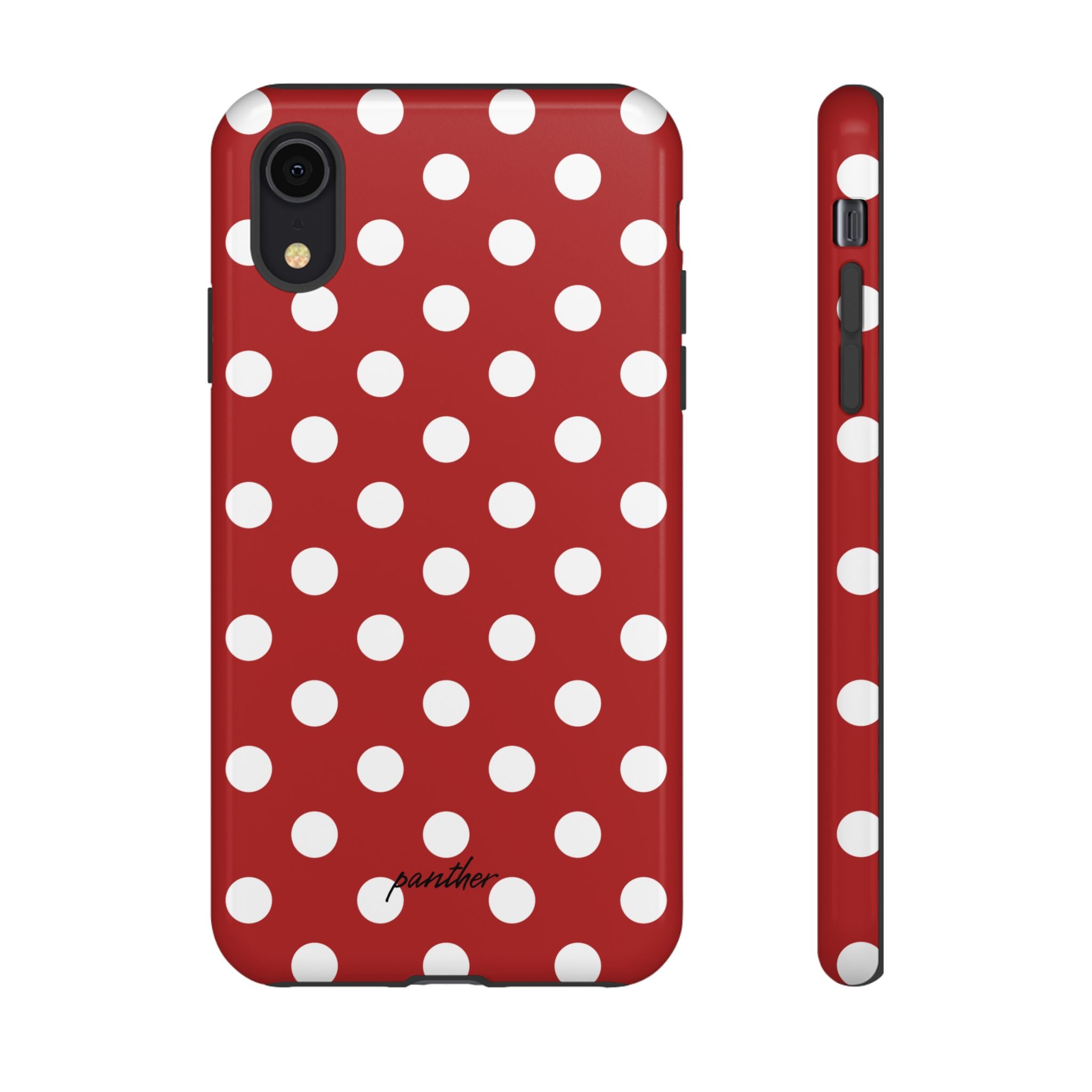 Ladybug V4