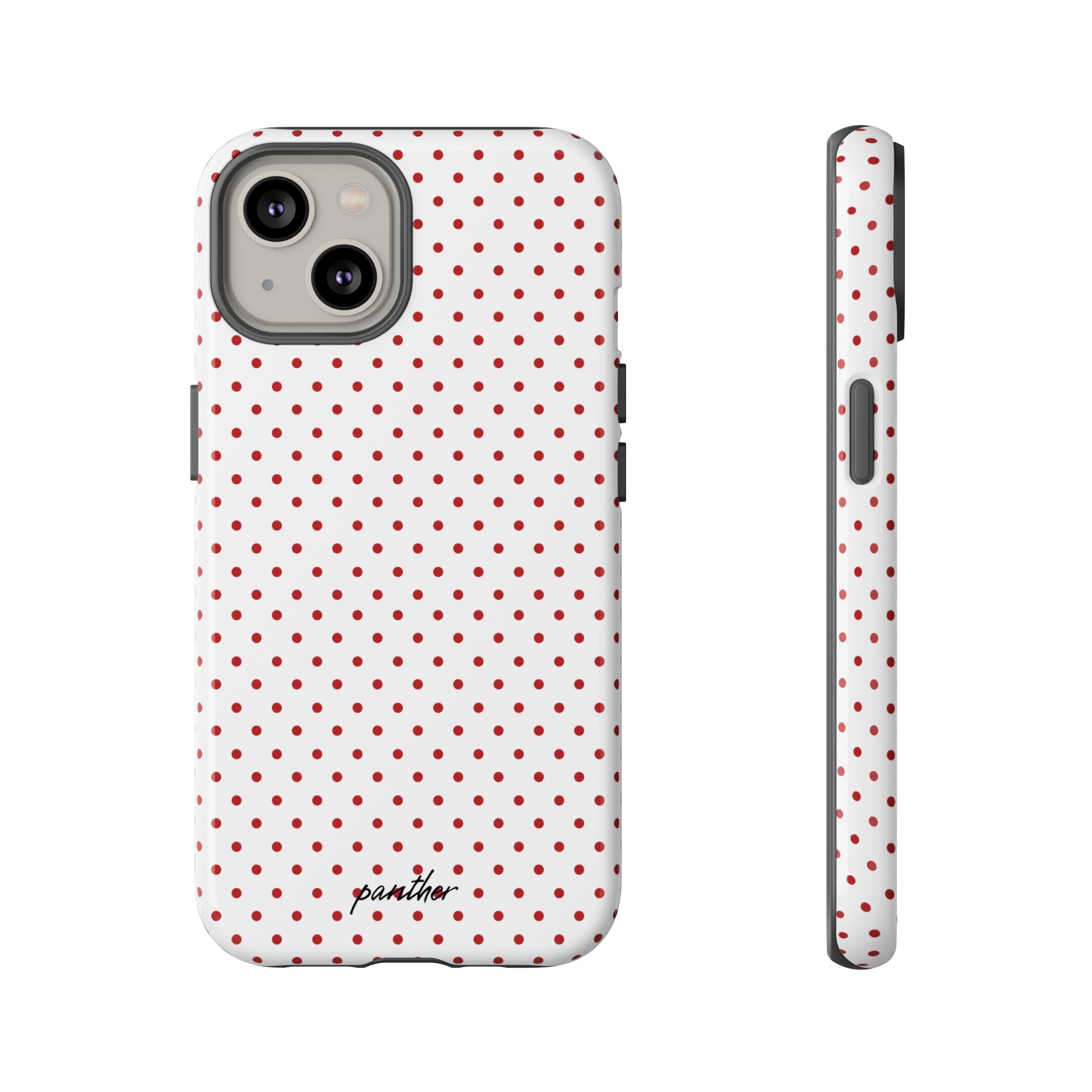Ladybug V2