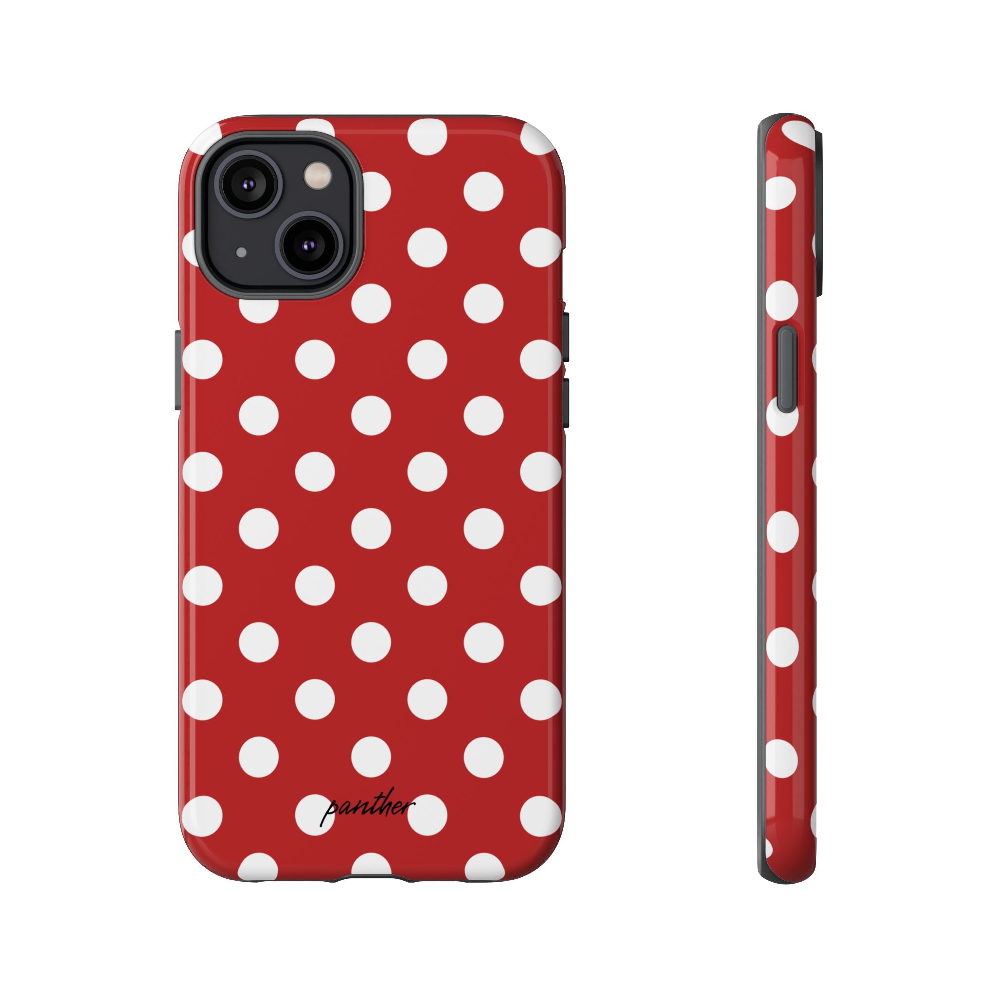 Ladybug V4