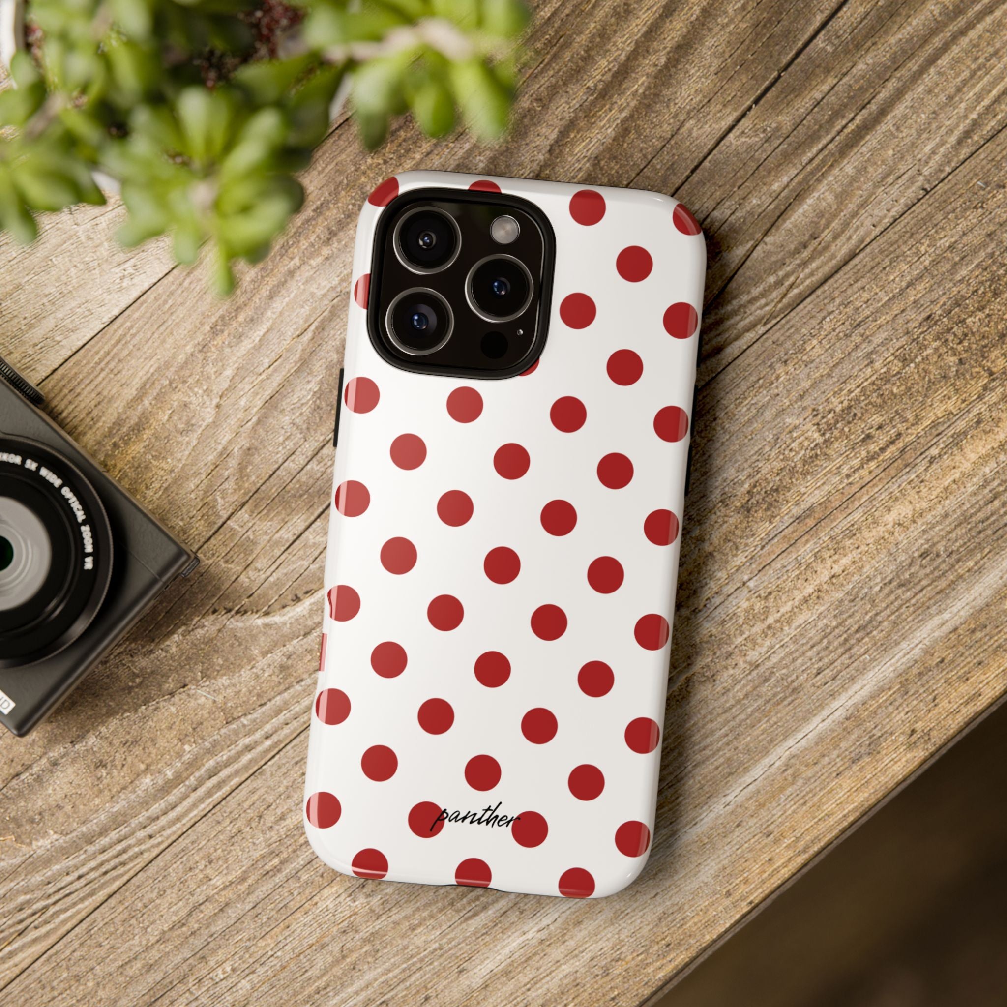 Ladybug