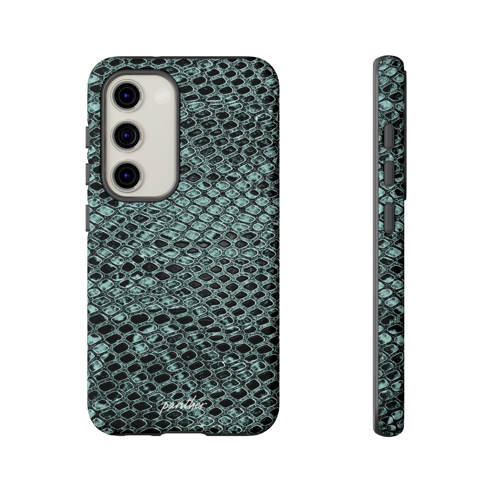 Python