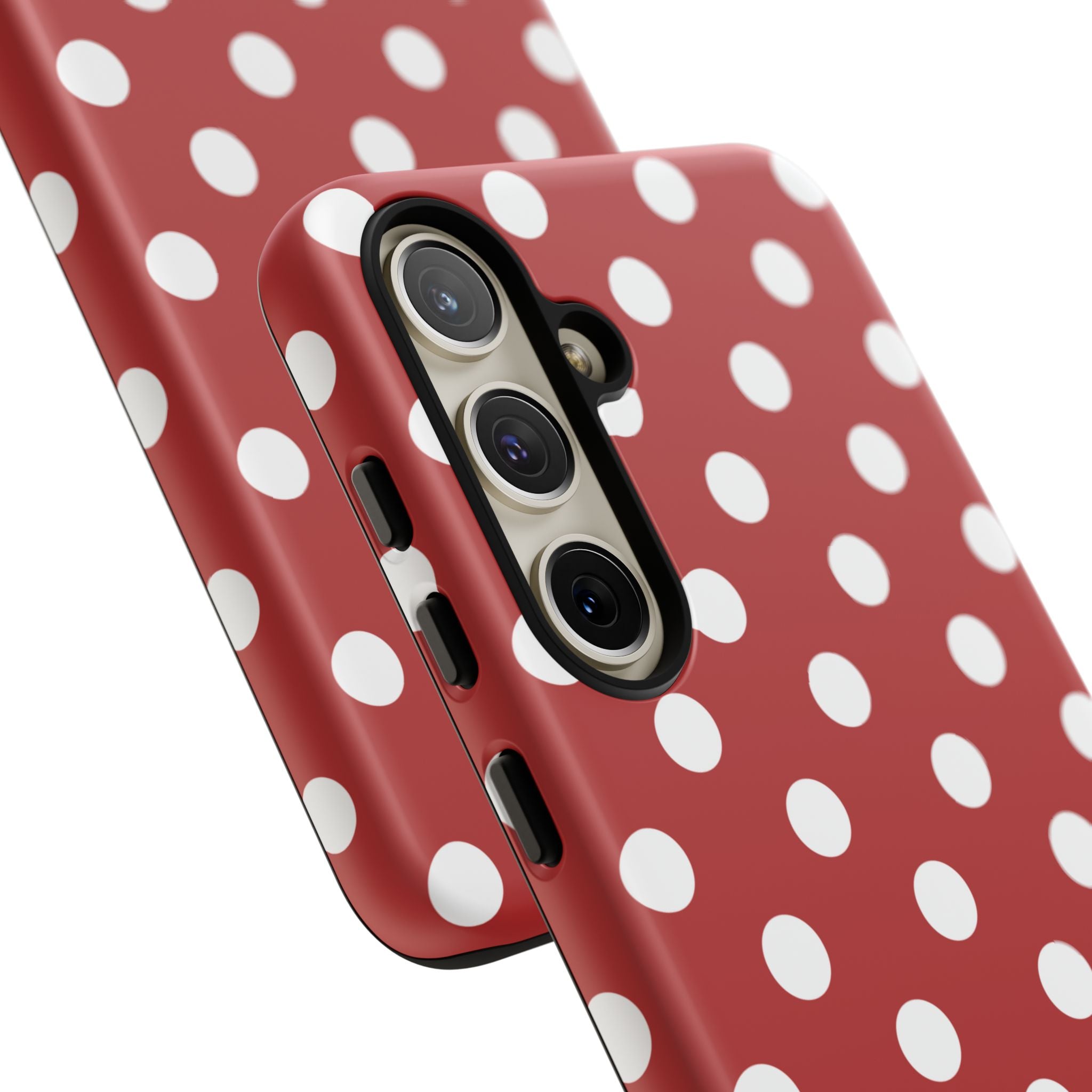Ladybug V4