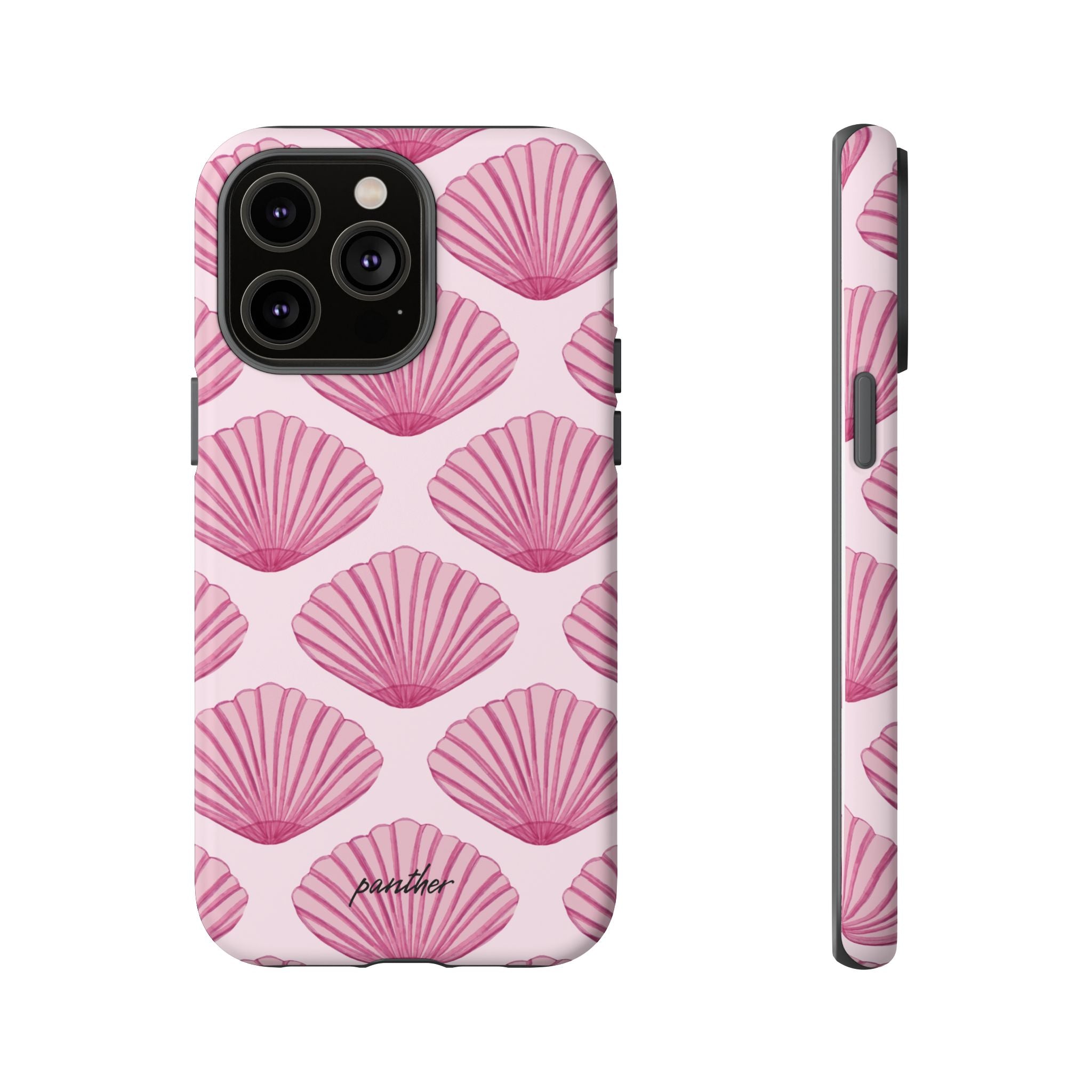 Coastal Shells