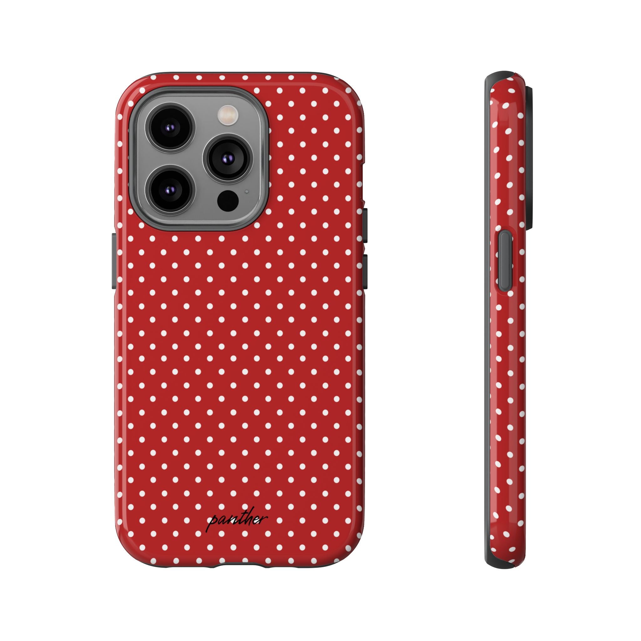 Ladybug V3
