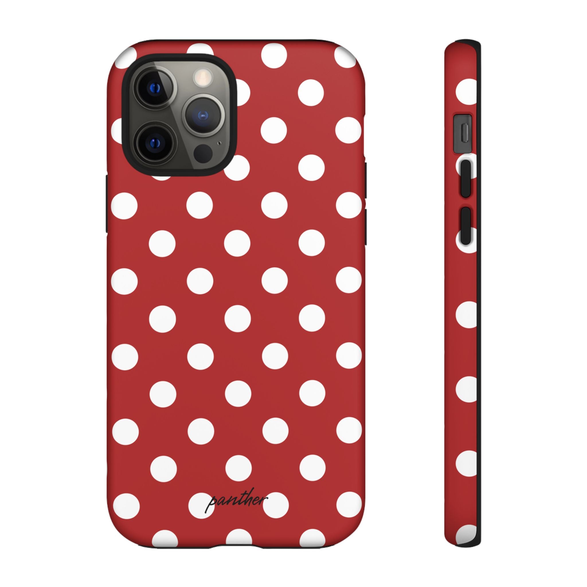 Ladybug V4