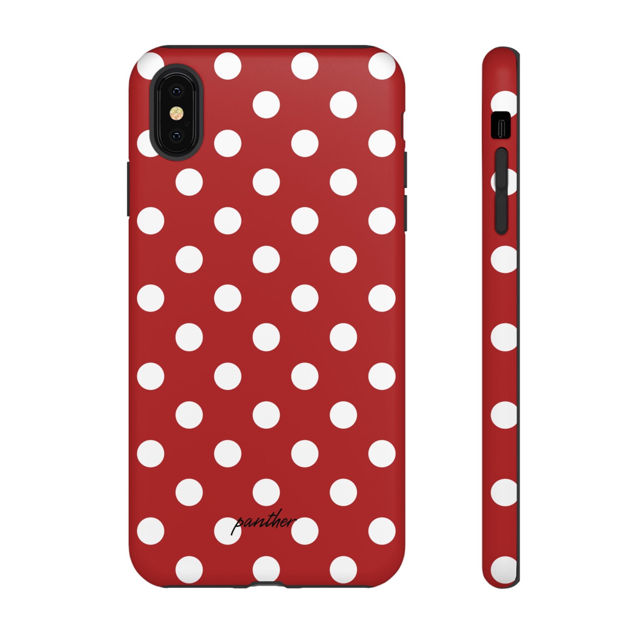 Ladybug V4