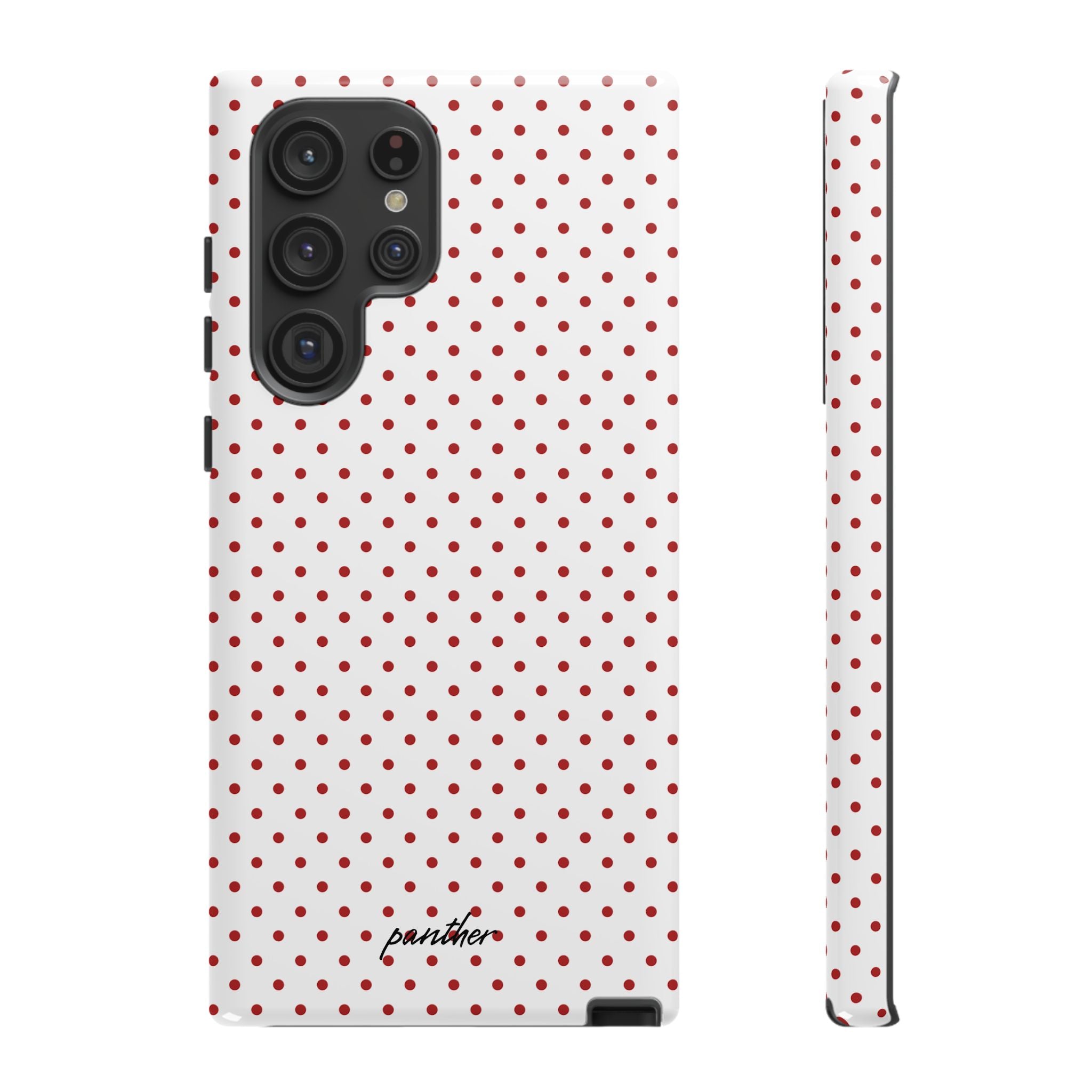 Ladybug V2