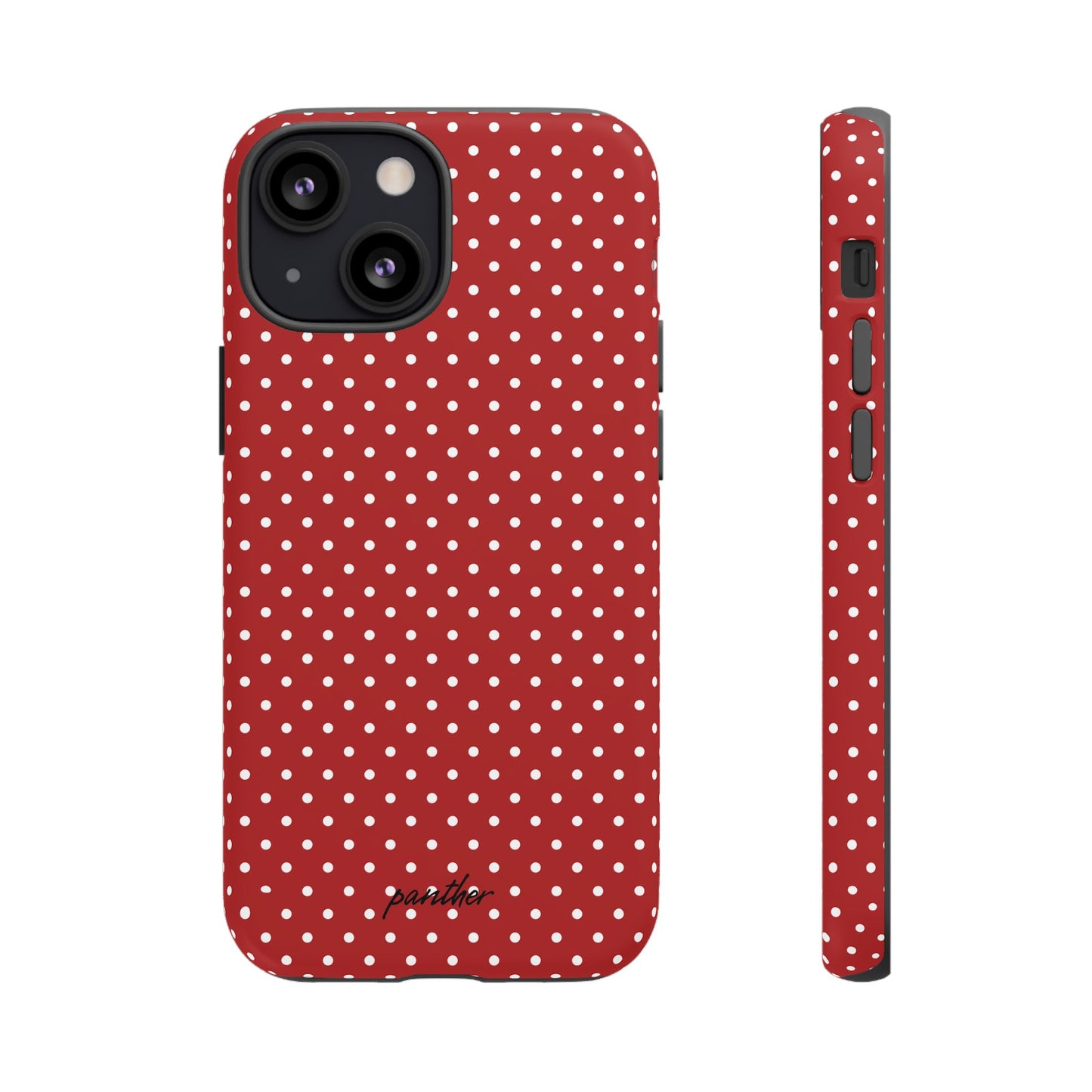 Ladybug V3