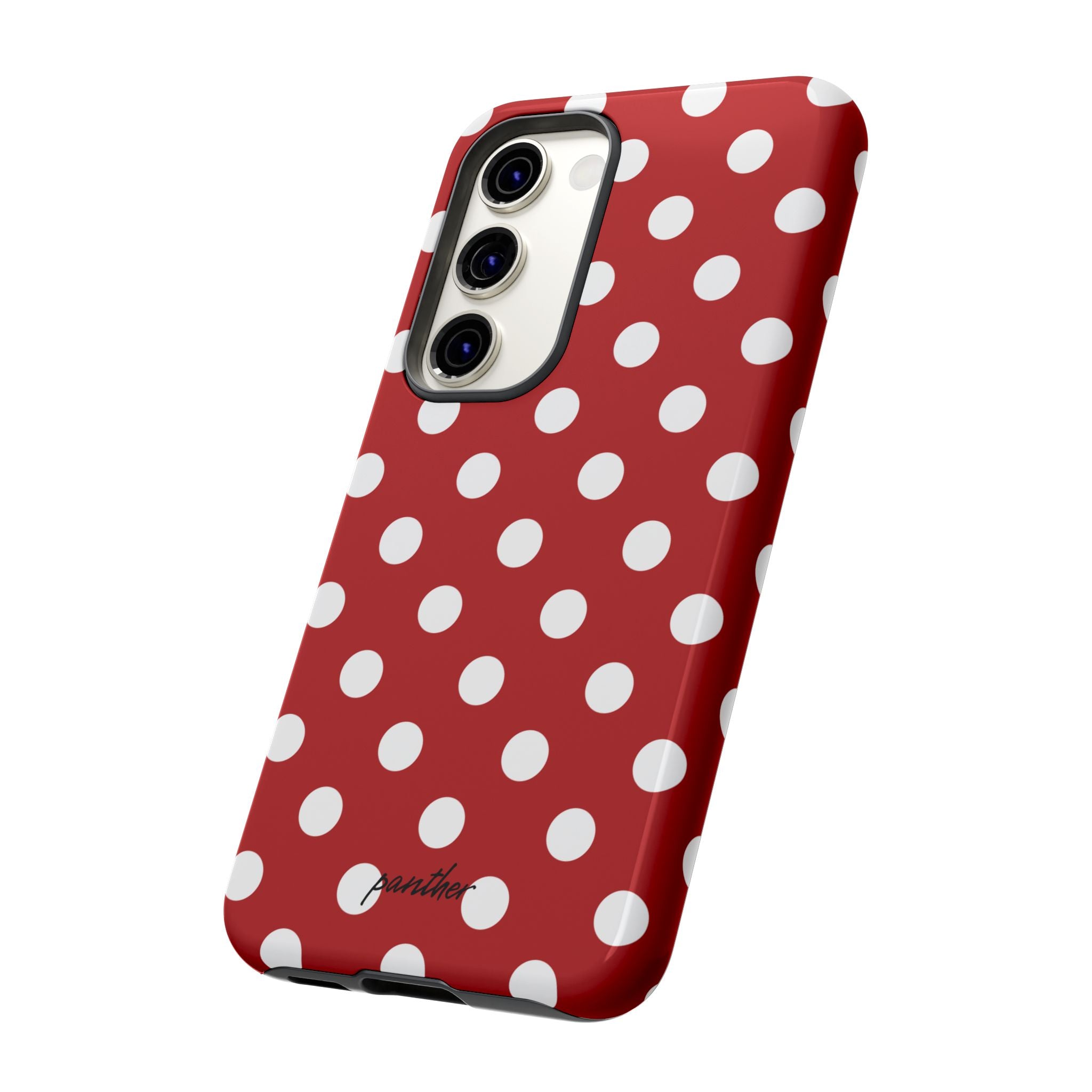 Ladybug V4