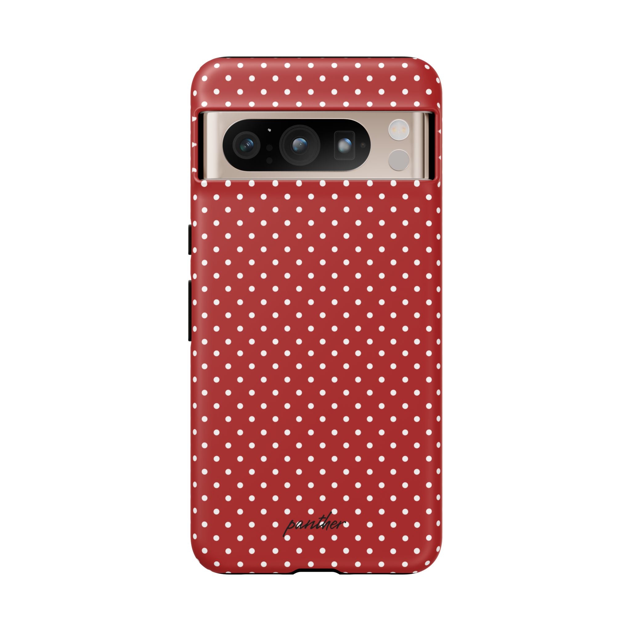 Ladybug V3