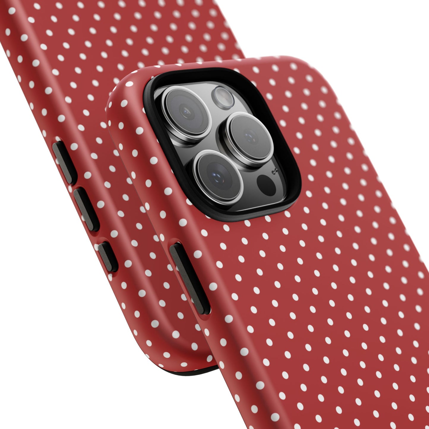 Ladybug V3