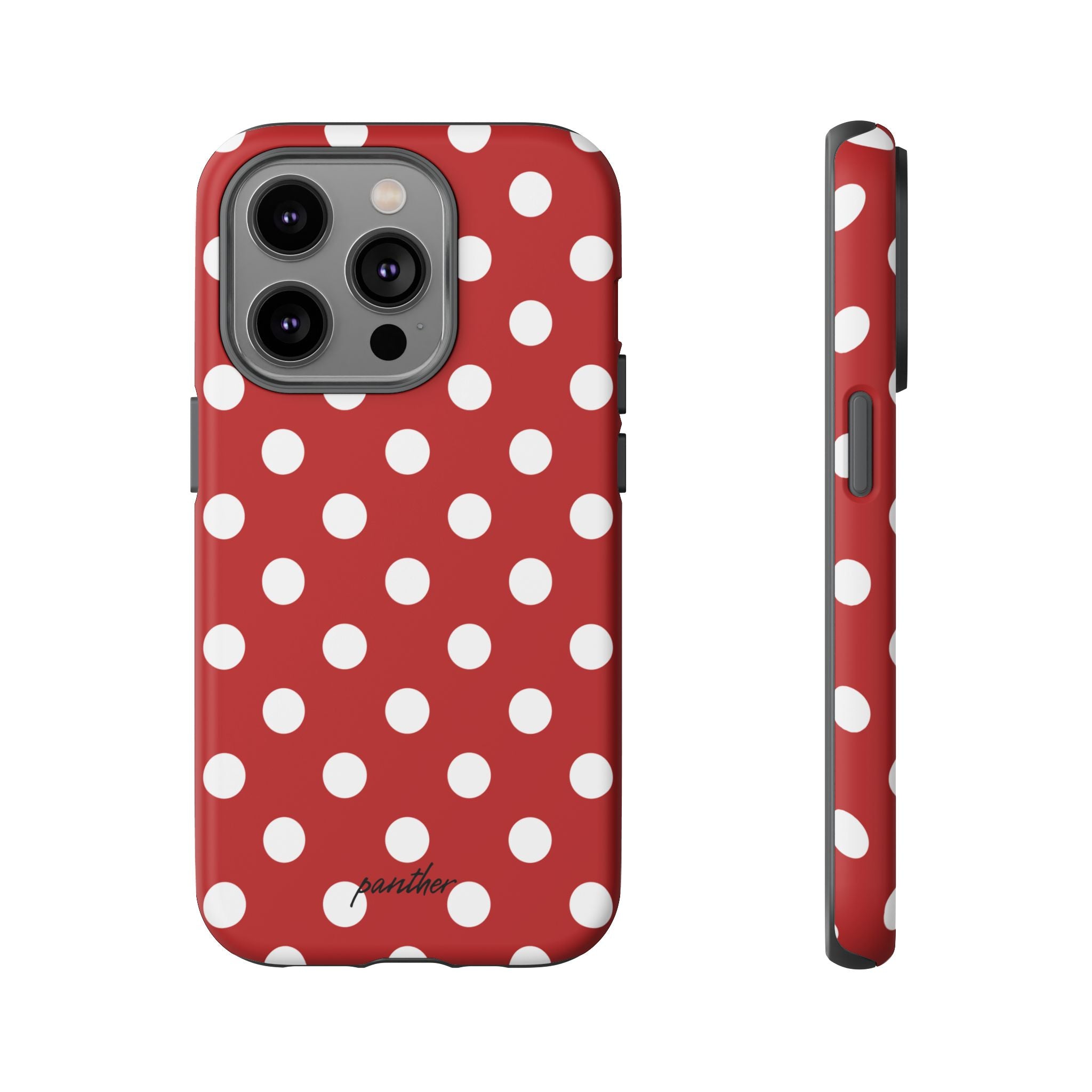 Ladybug V4