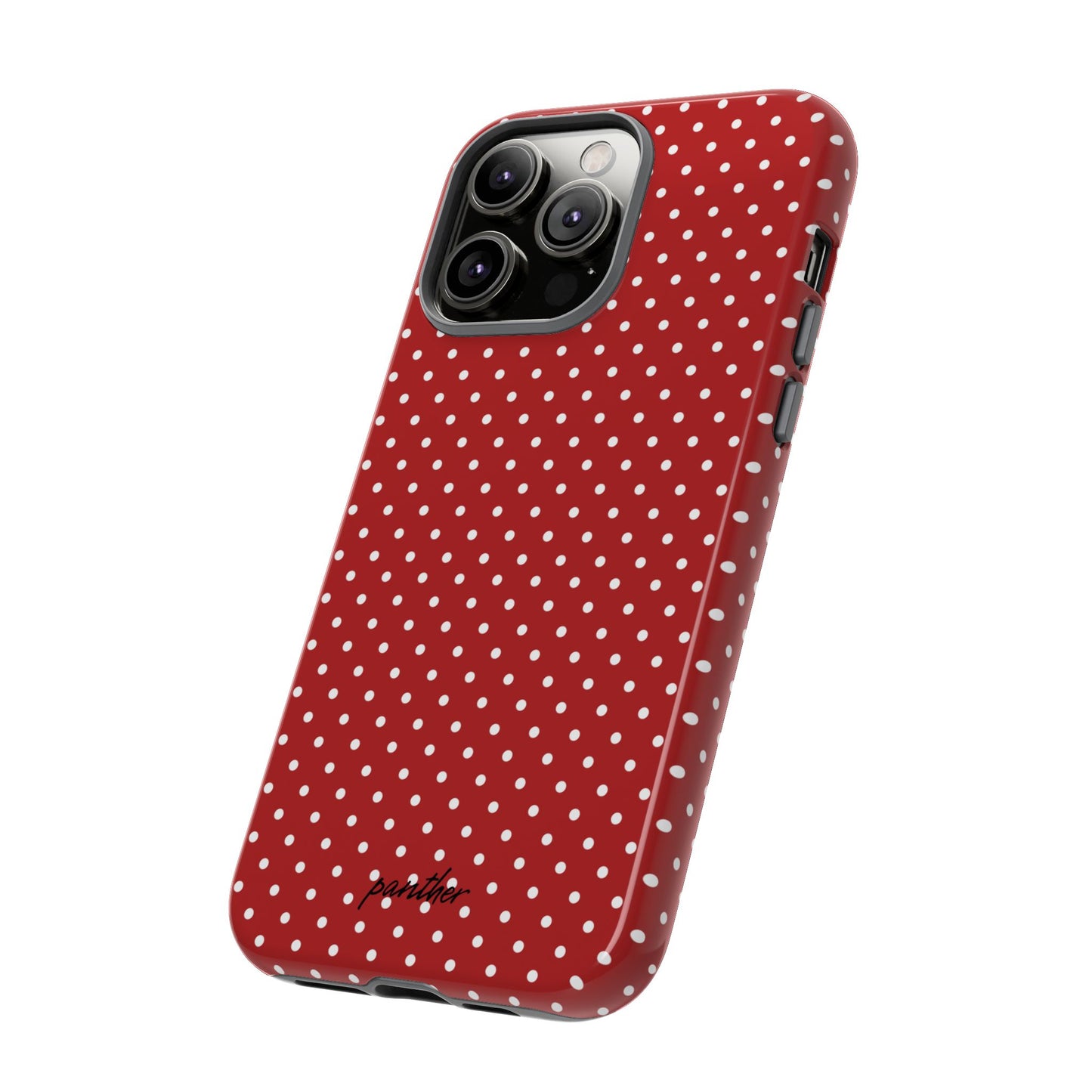 Ladybug V3