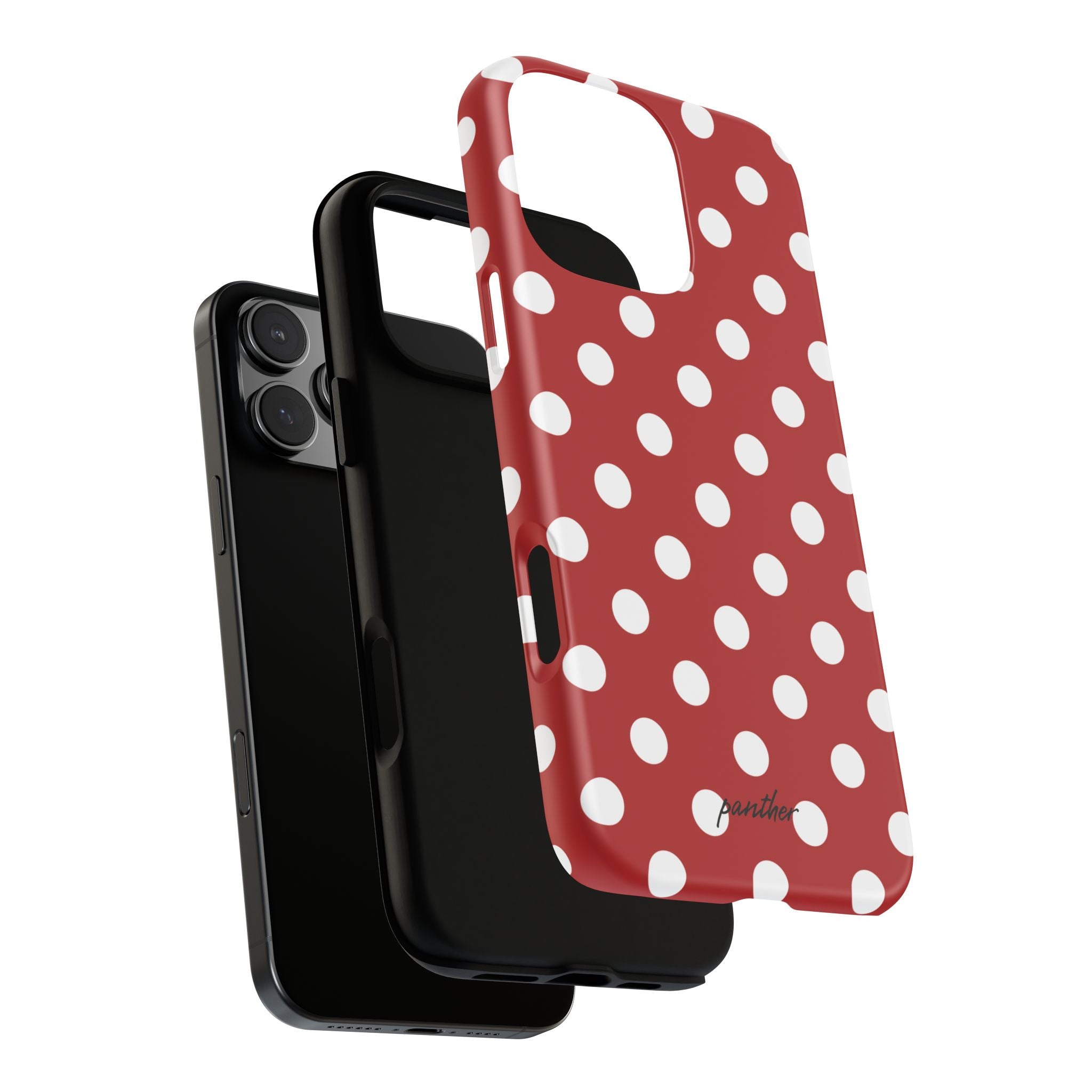 Ladybug V4