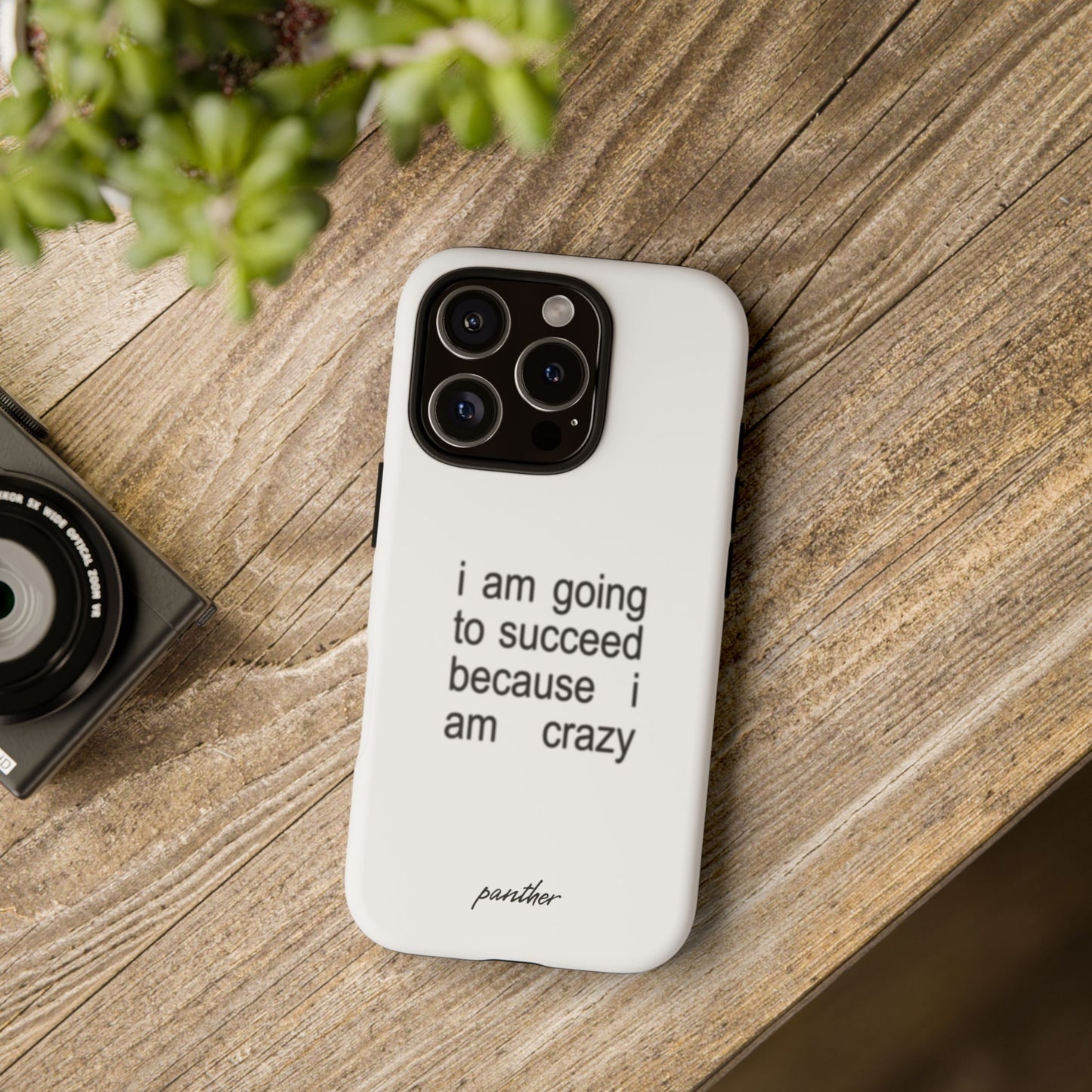 I Am Going To Succeed Because I Am Crazy