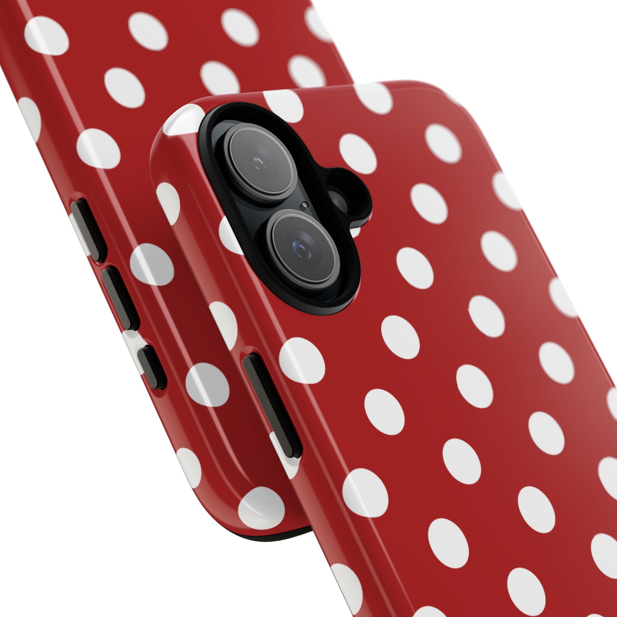 Ladybug V4