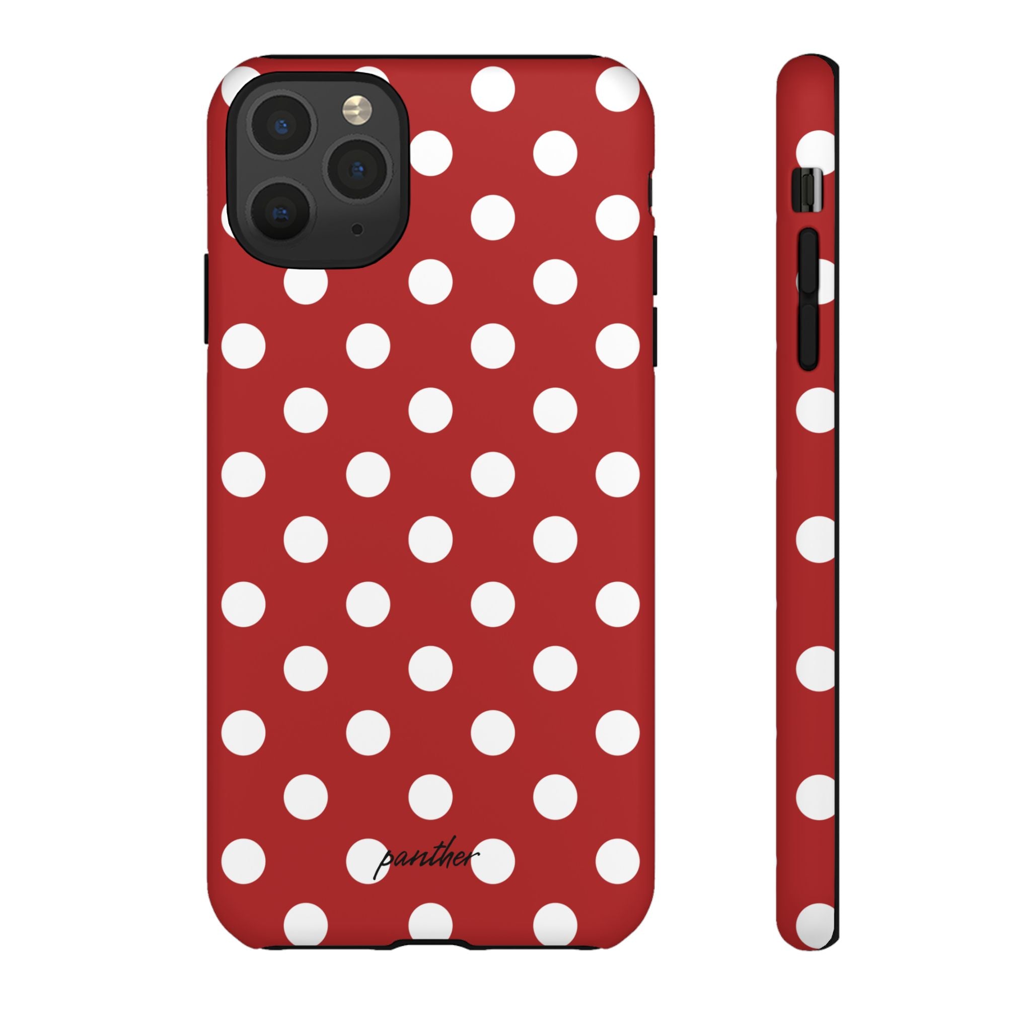 Ladybug V4