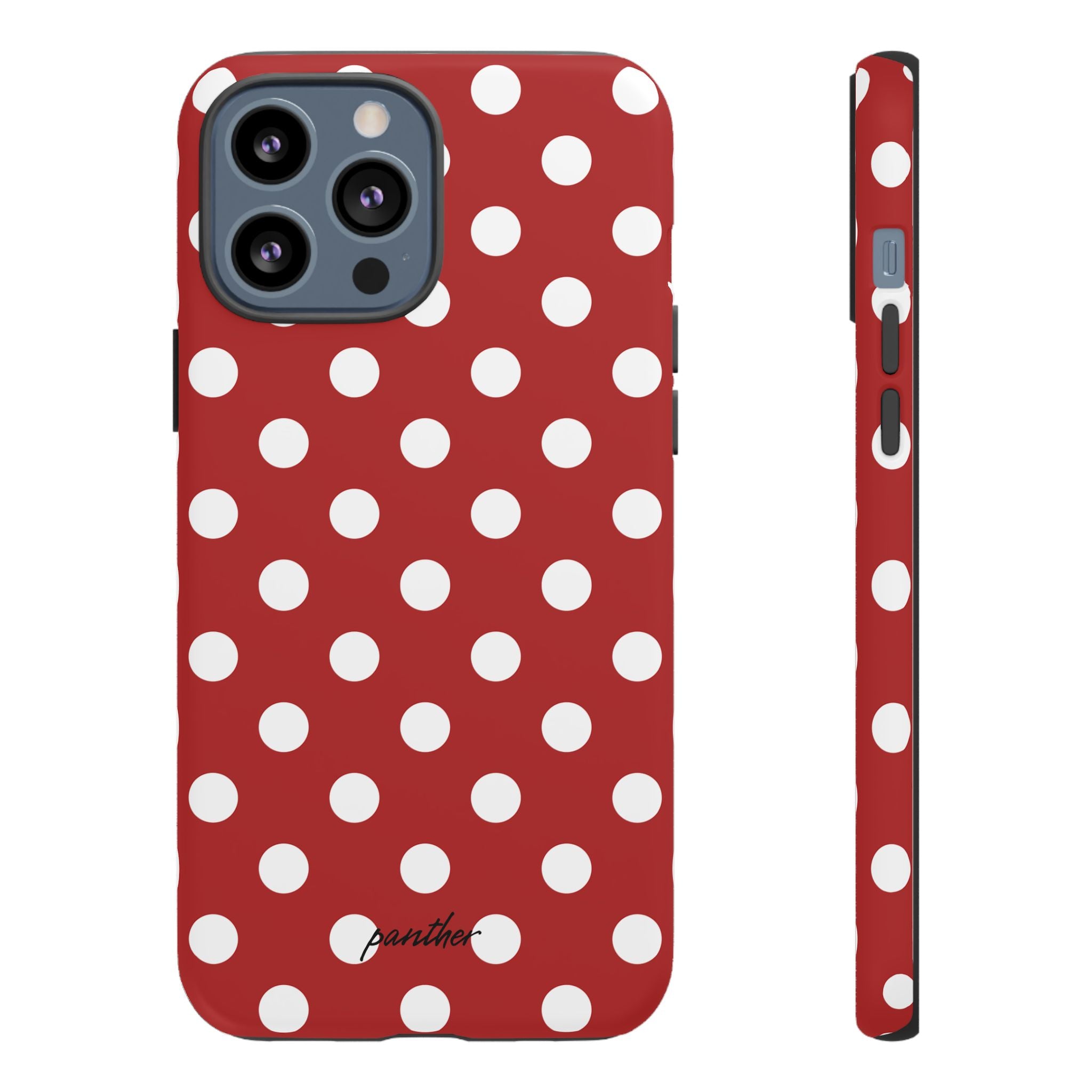 Ladybug V4