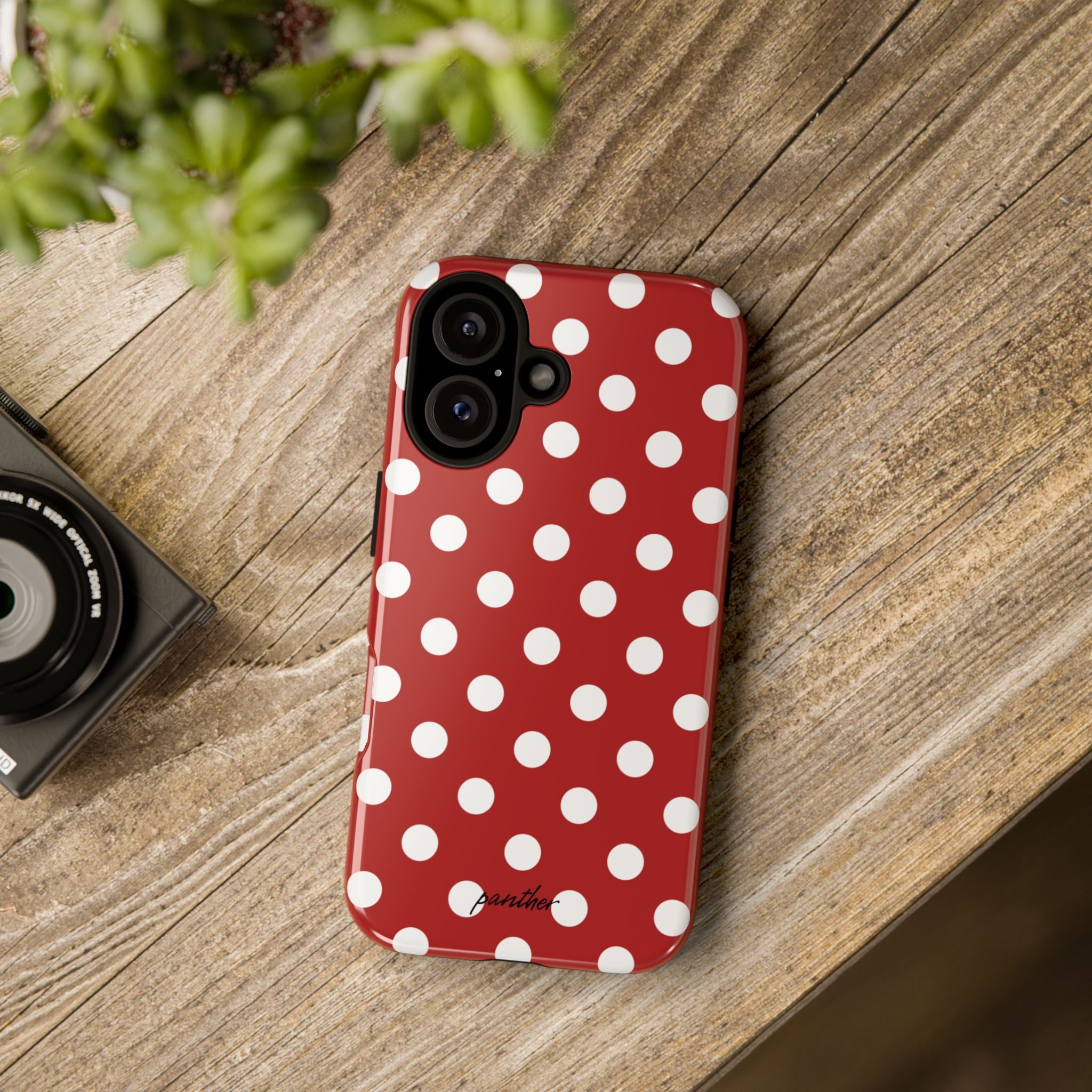 Ladybug V4