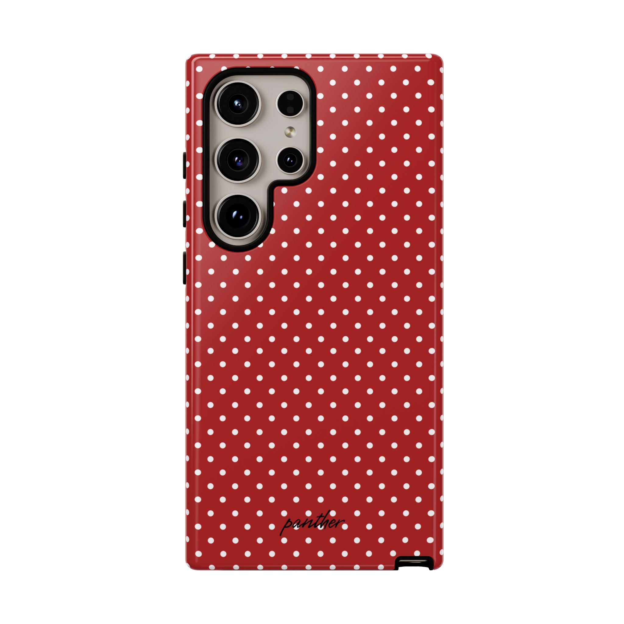 Ladybug V3